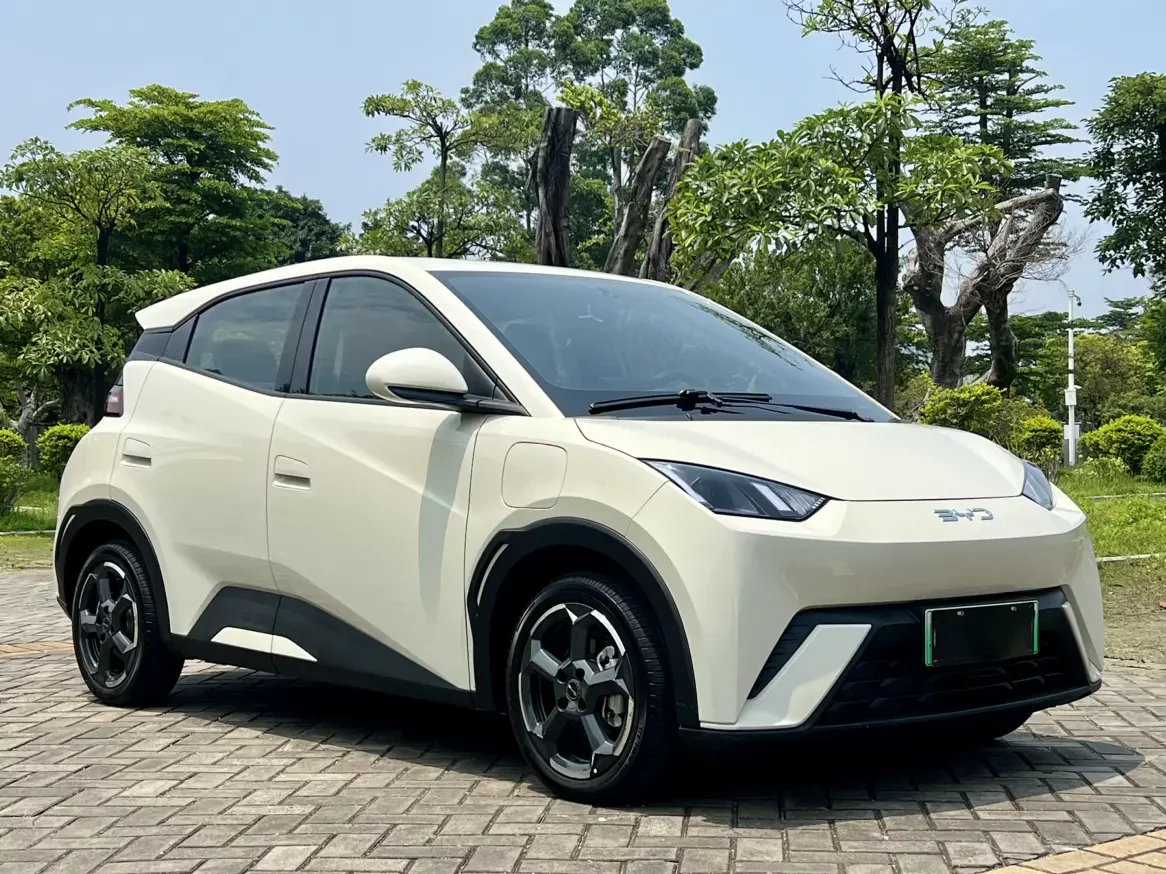 BYD seagull