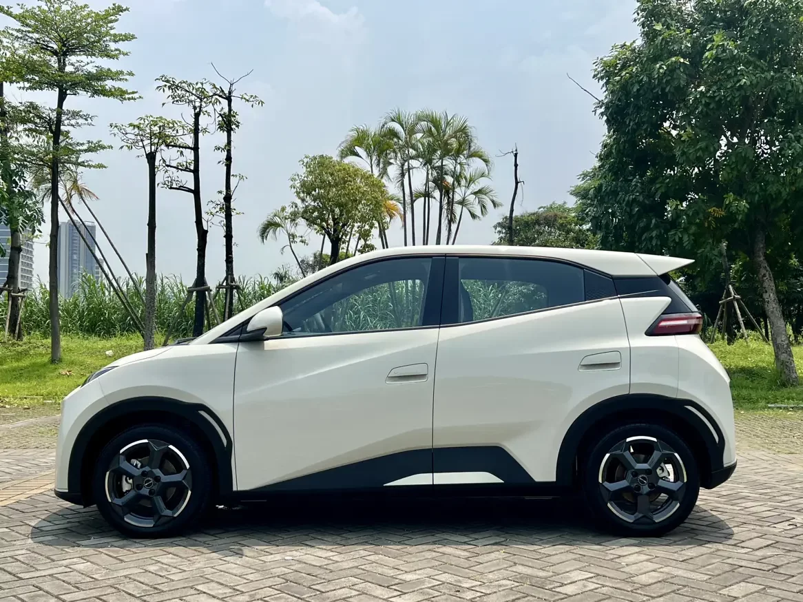 BYD seagull