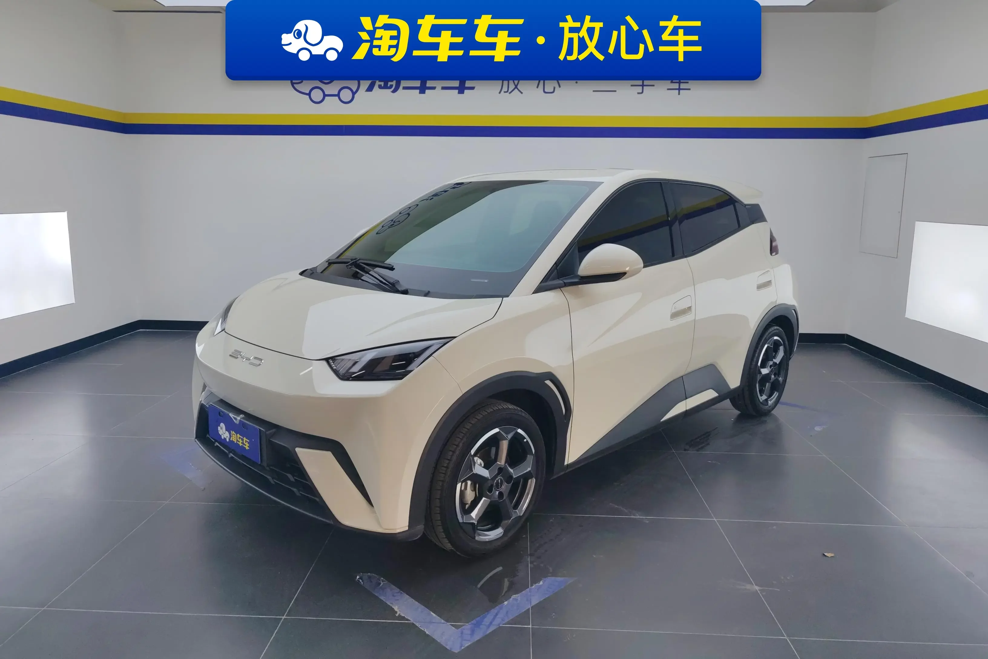 BYD seagull