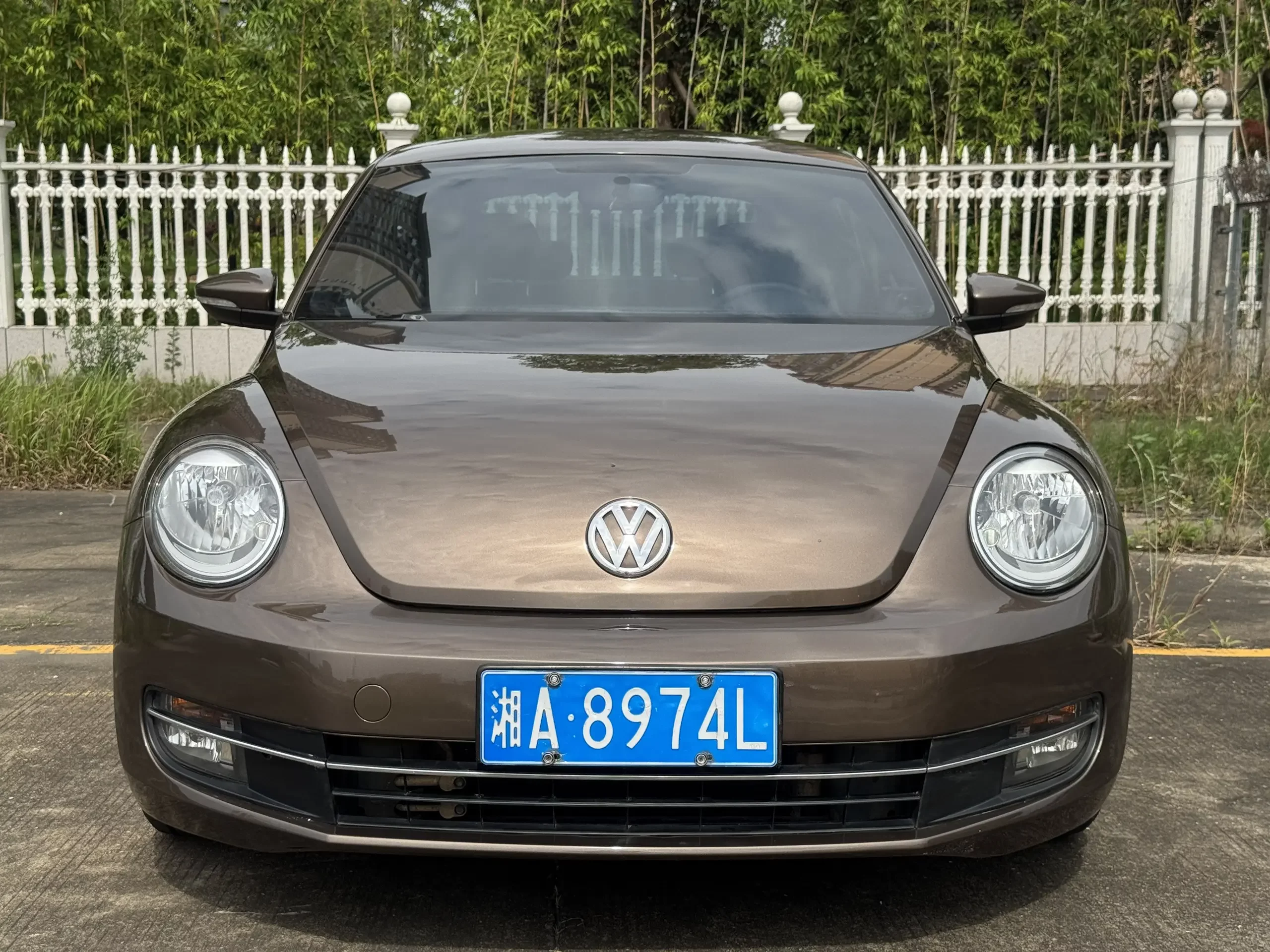 Volkswagen Beetle