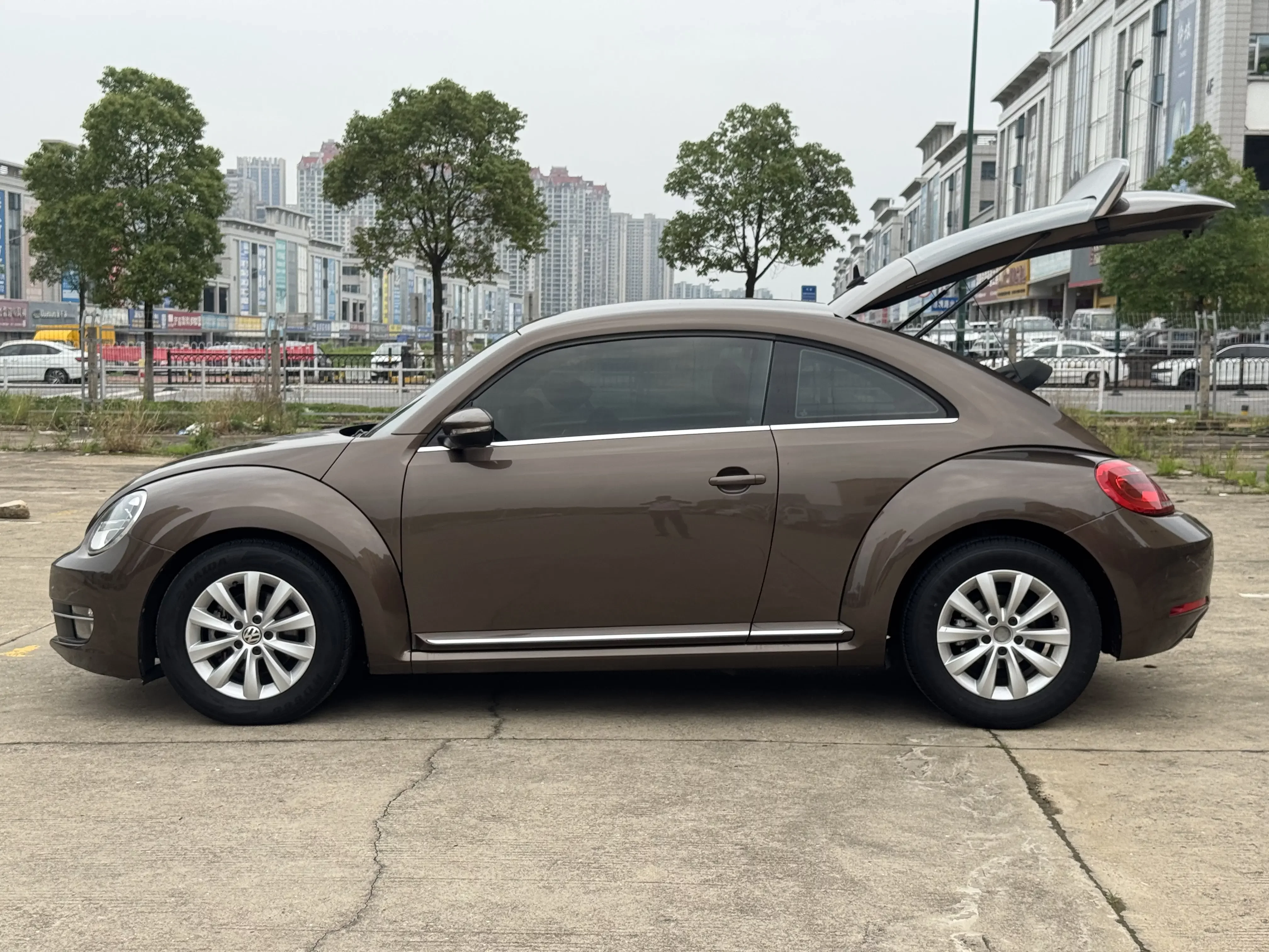 Volkswagen Beetle