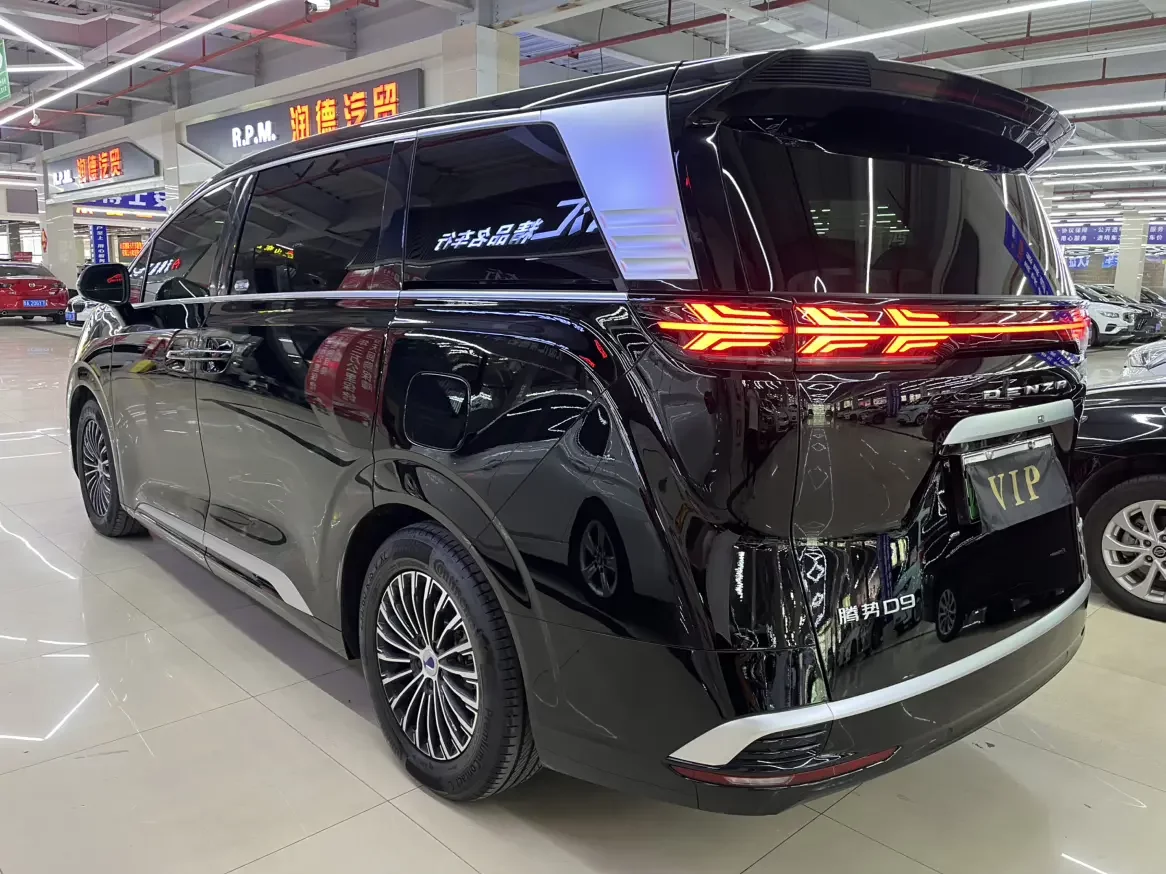 Denza D9 DM