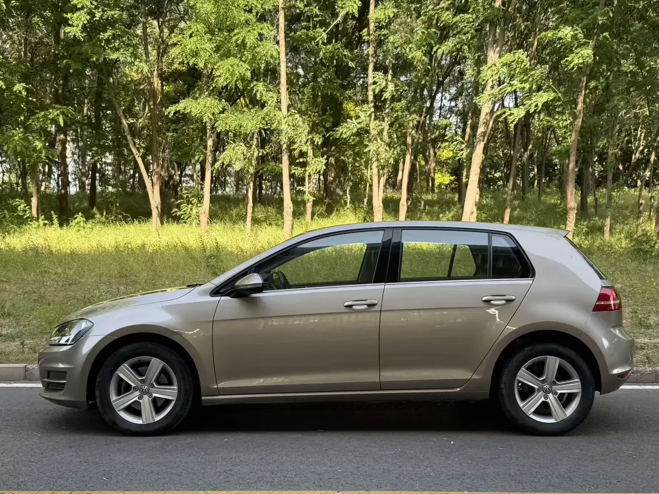 Volkswagen golf