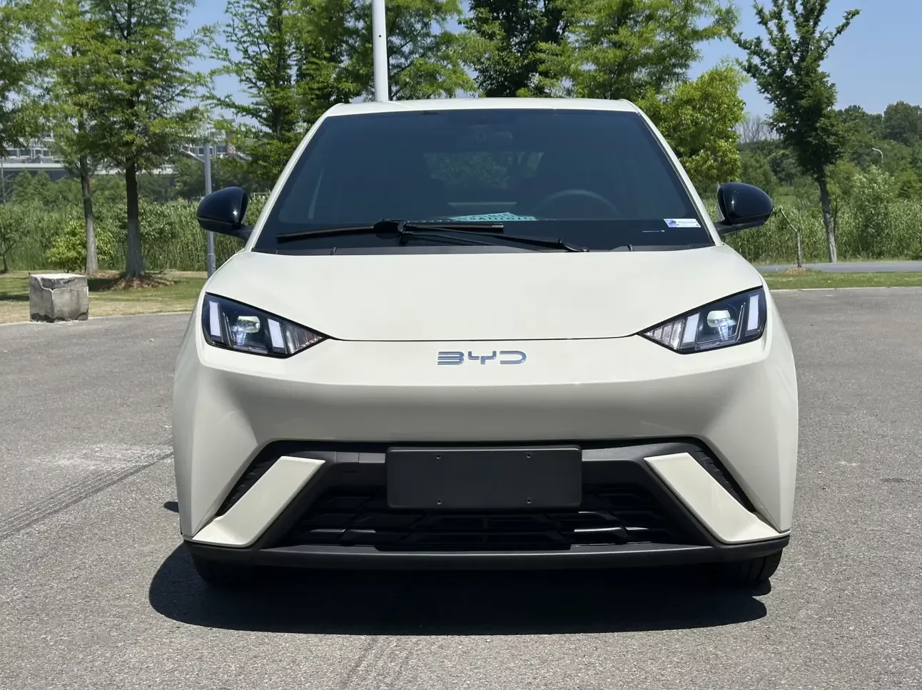 BYD seagull