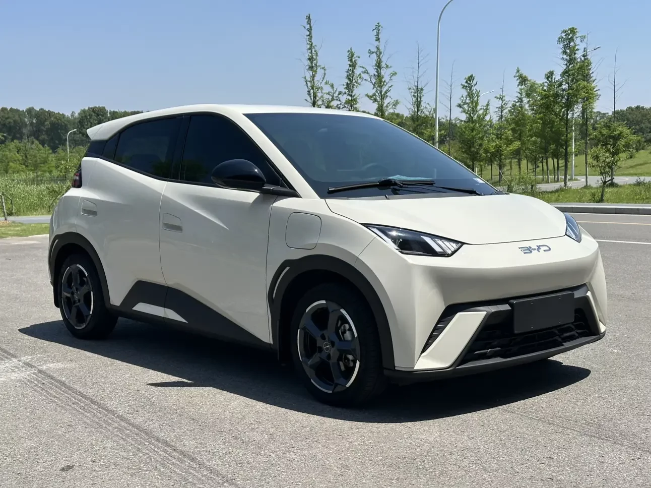 BYD seagull