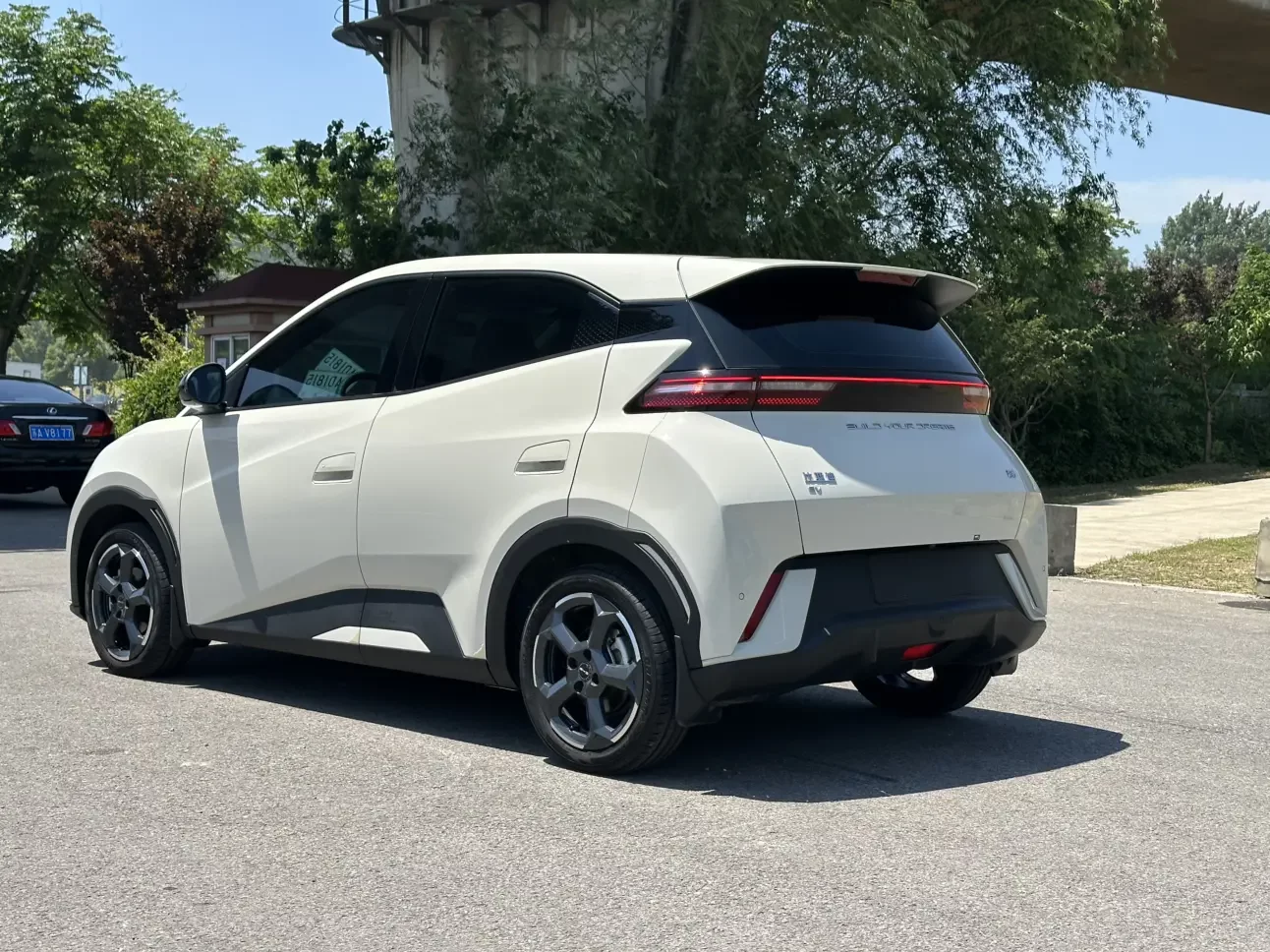 BYD seagull
