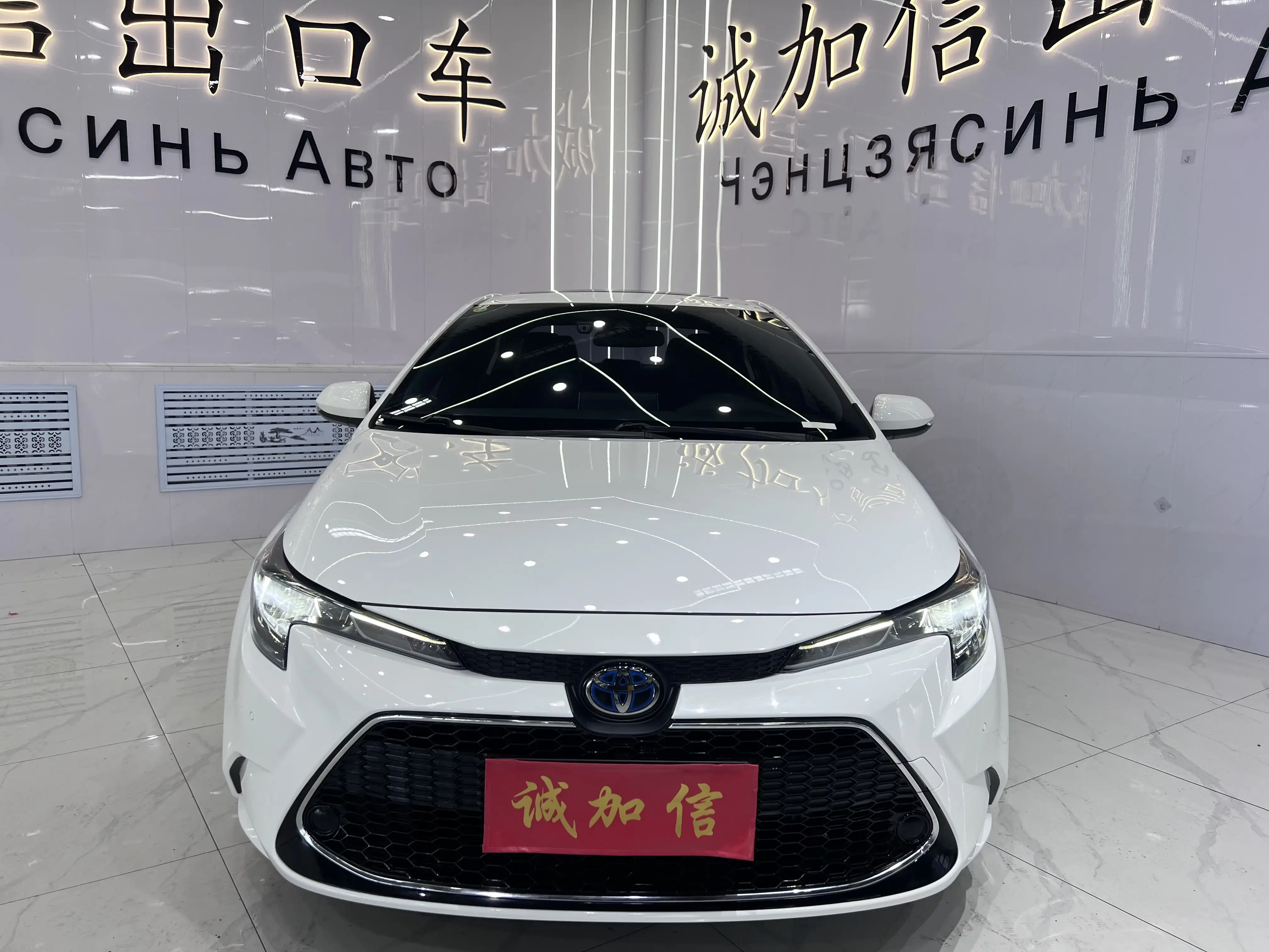 Toyota Levin