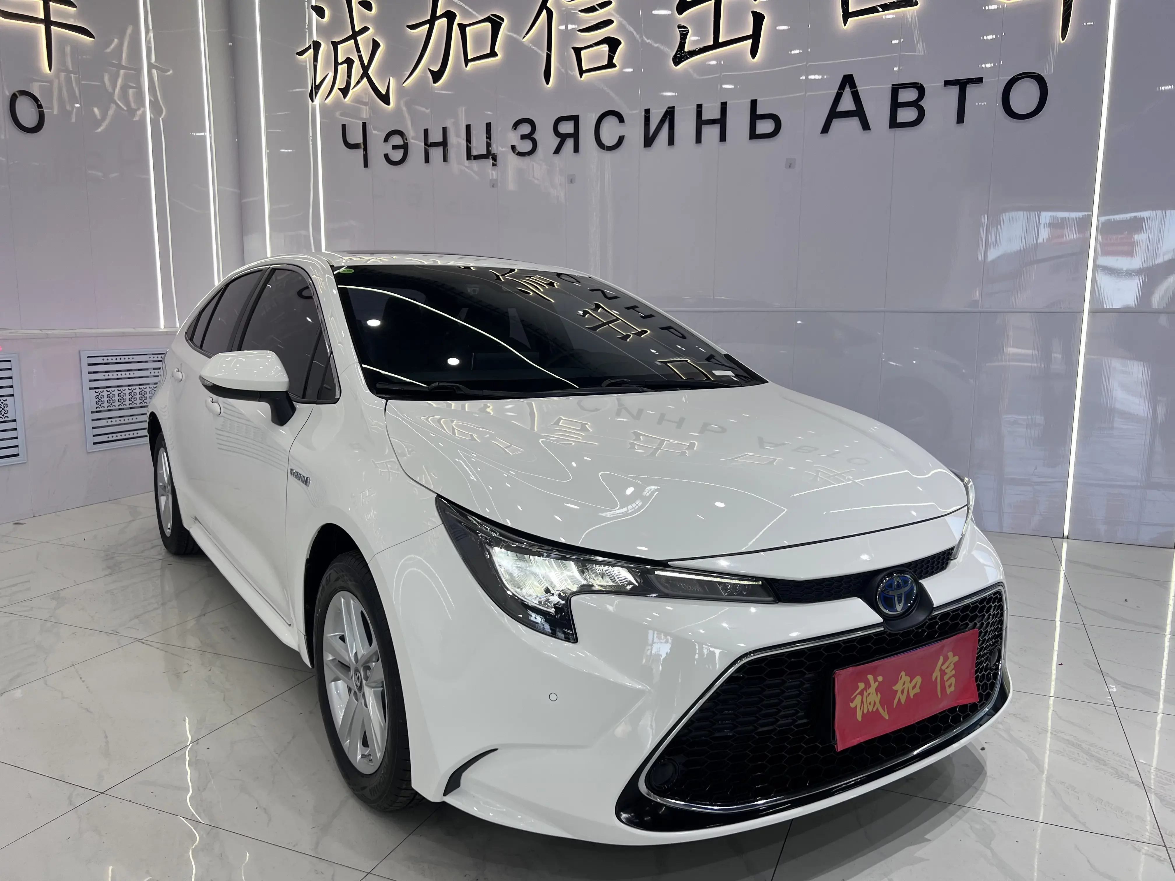 Toyota Levin