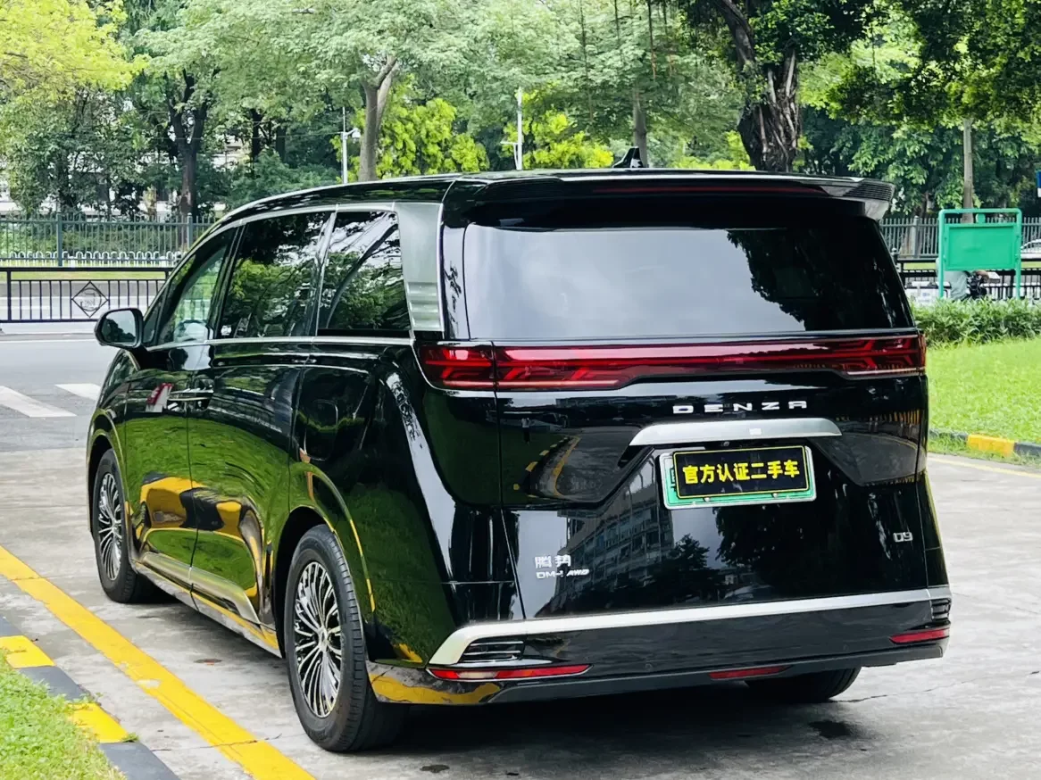 Denza D9 DM