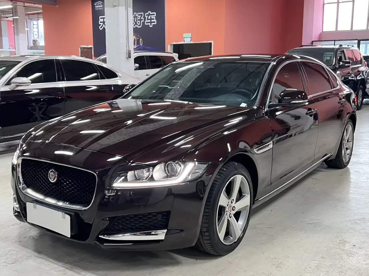 Jaguar XFL  из Китая