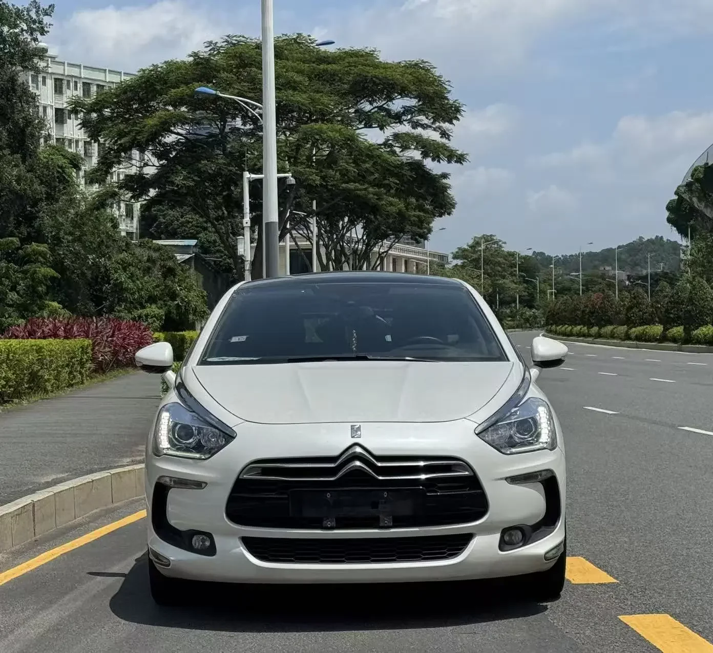 DS 5