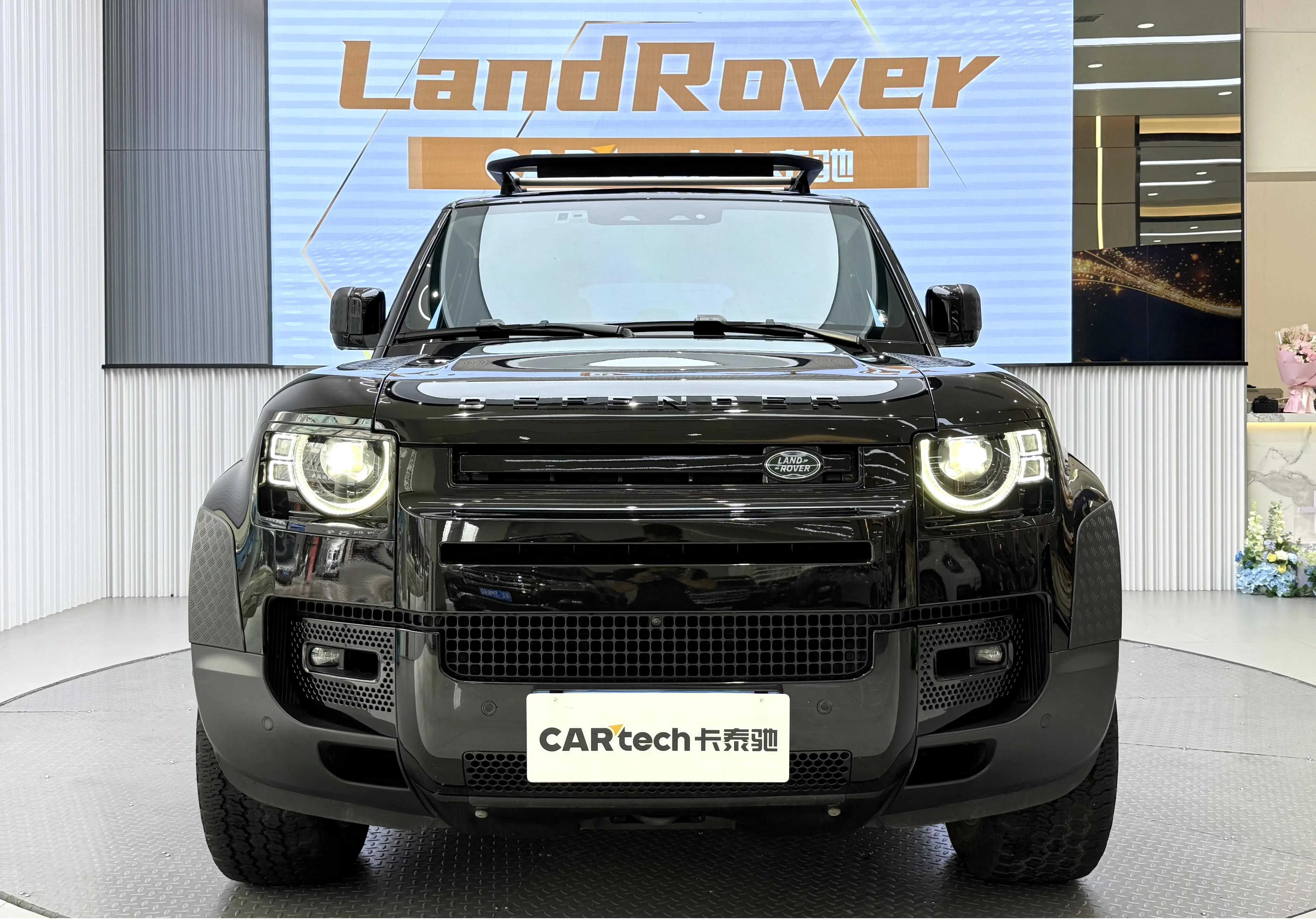 Land Rover guard