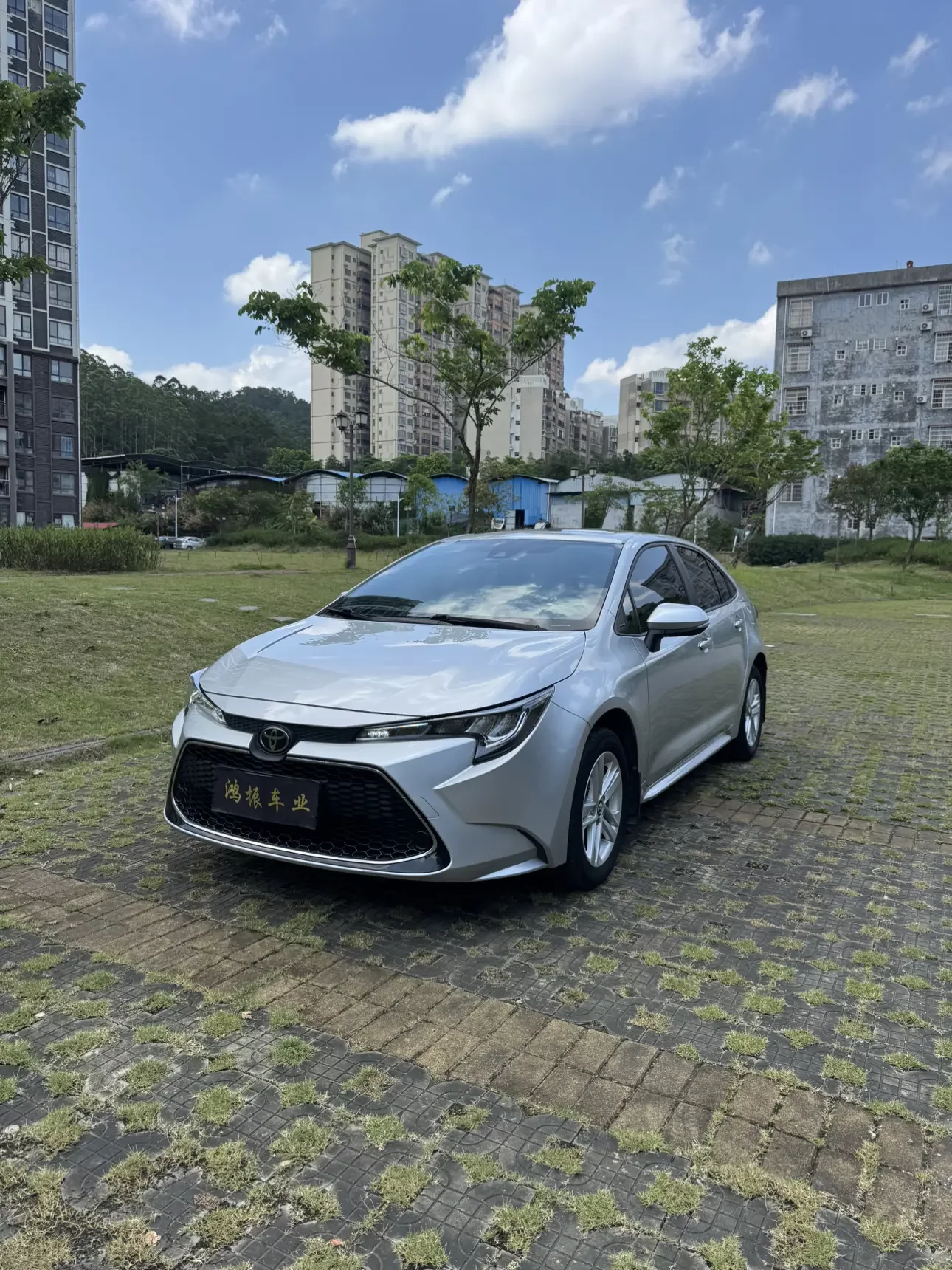 Toyota Levin