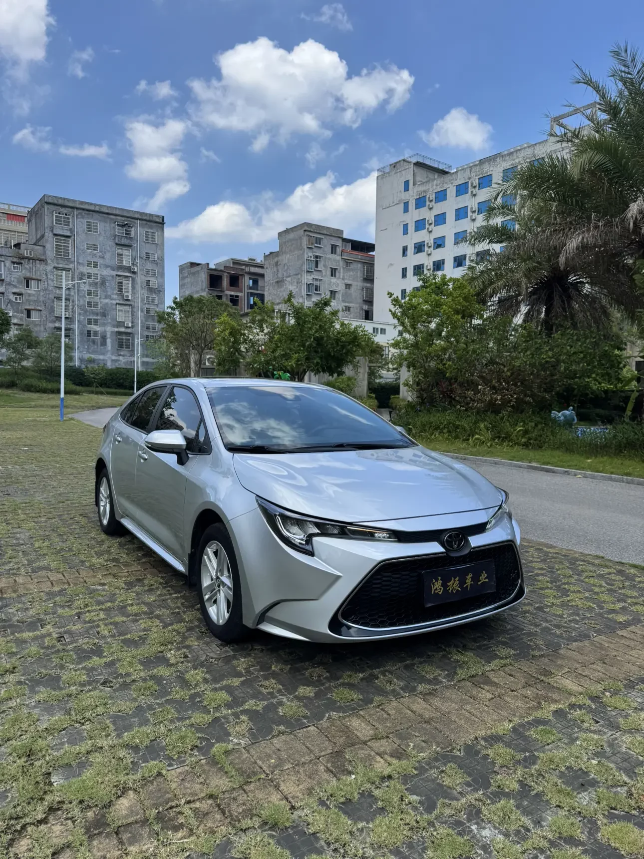 Toyota Levin