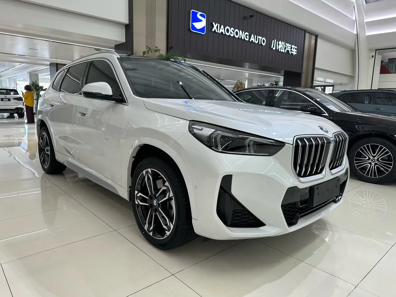 BMW X1