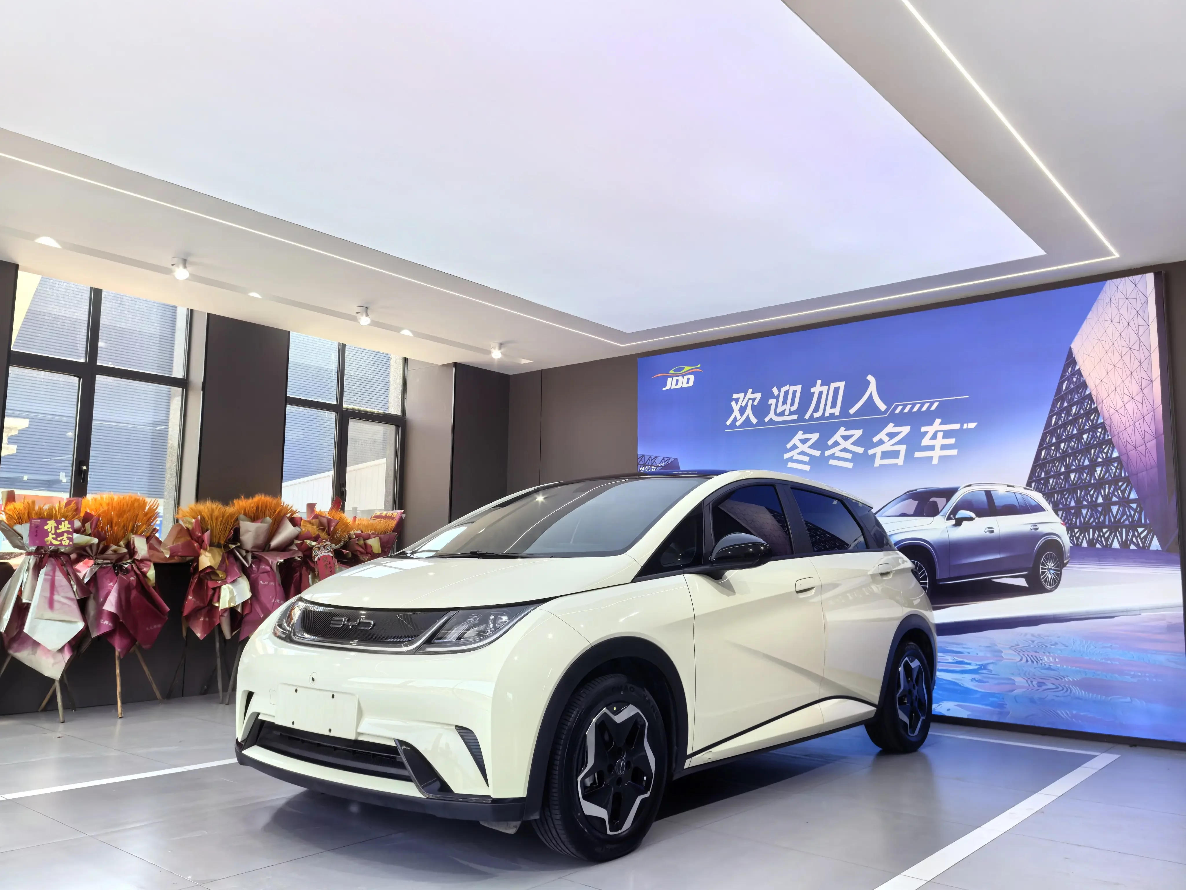 BYD dolphin