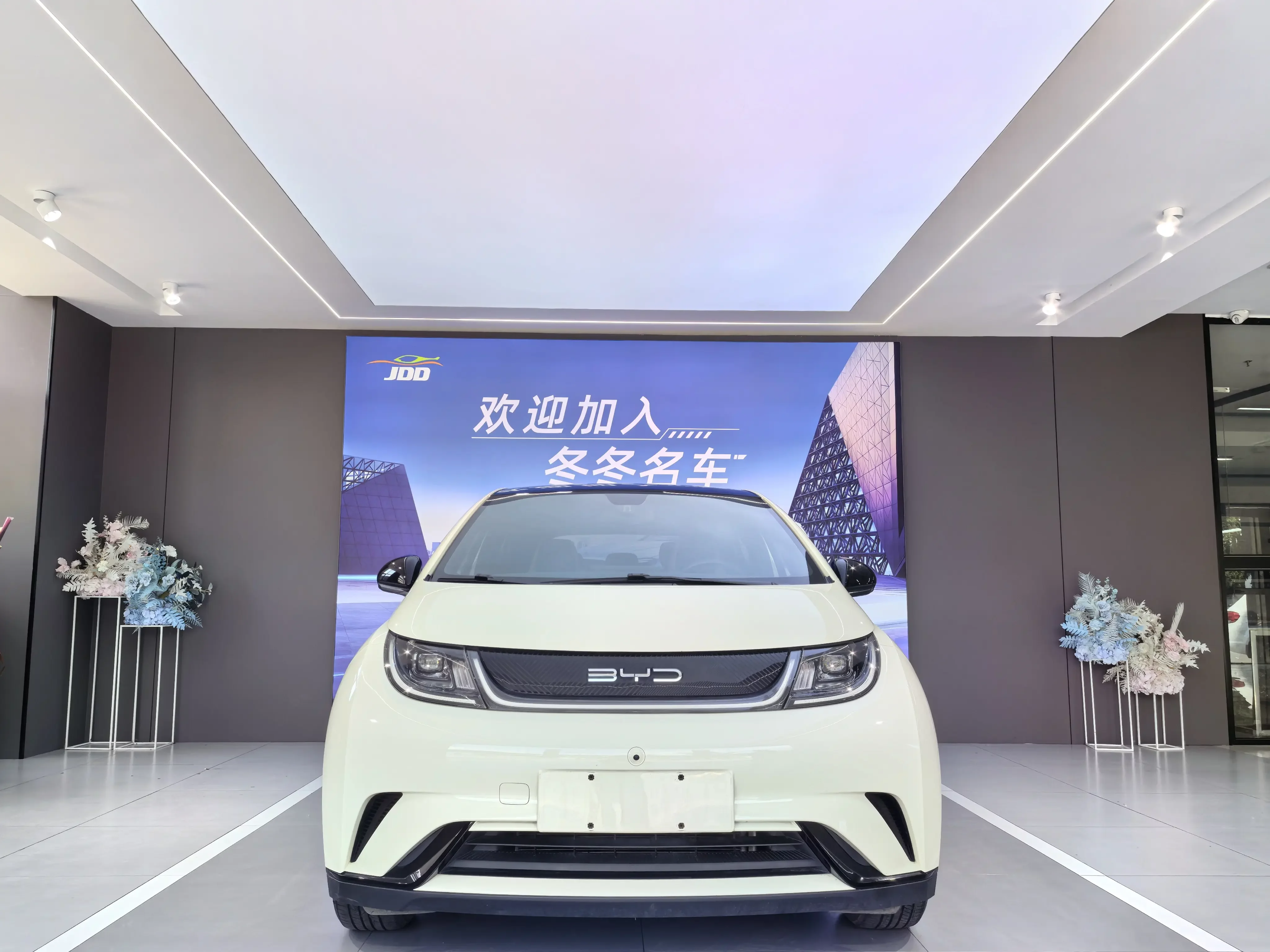 BYD dolphin