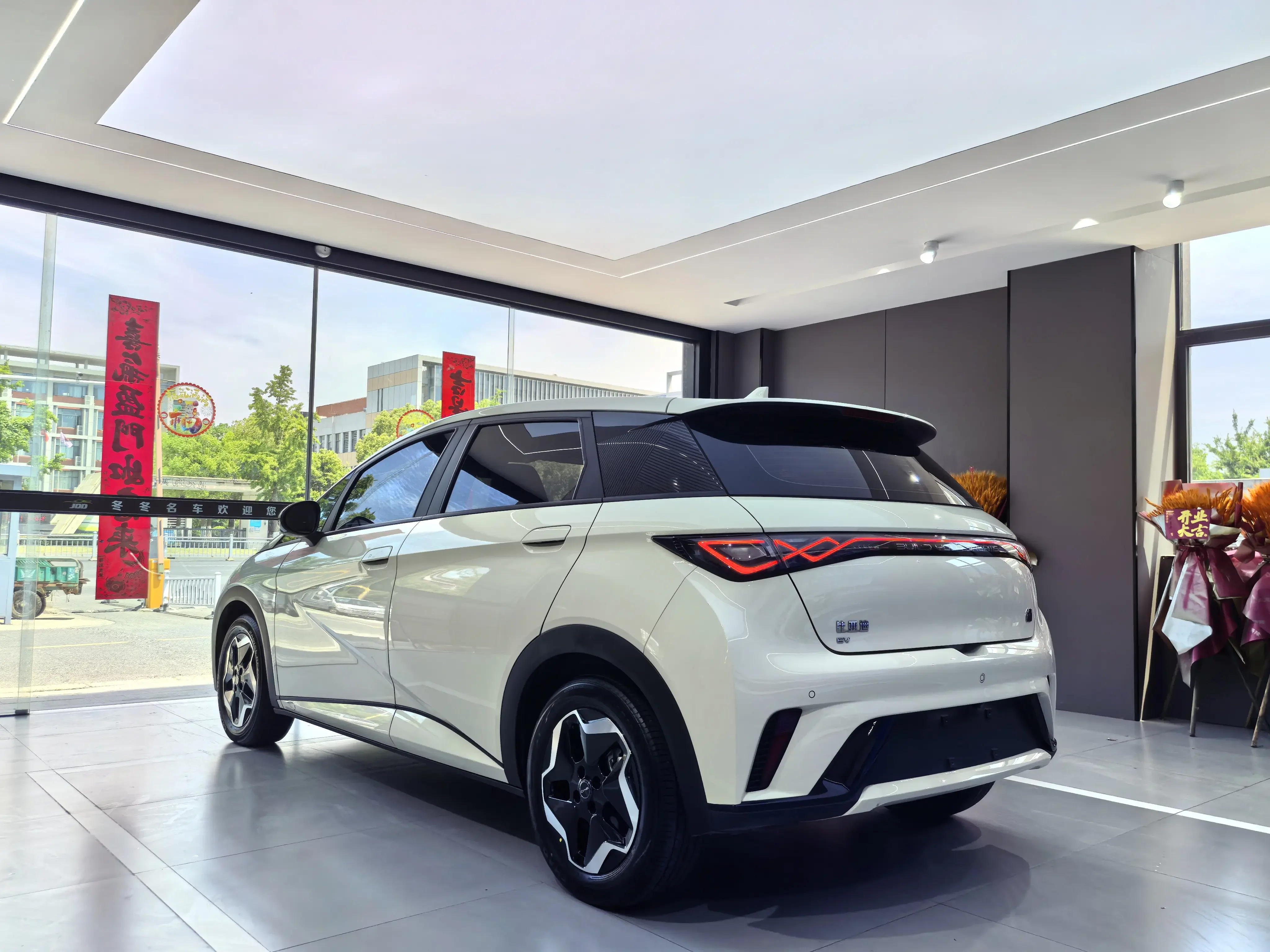 BYD dolphin