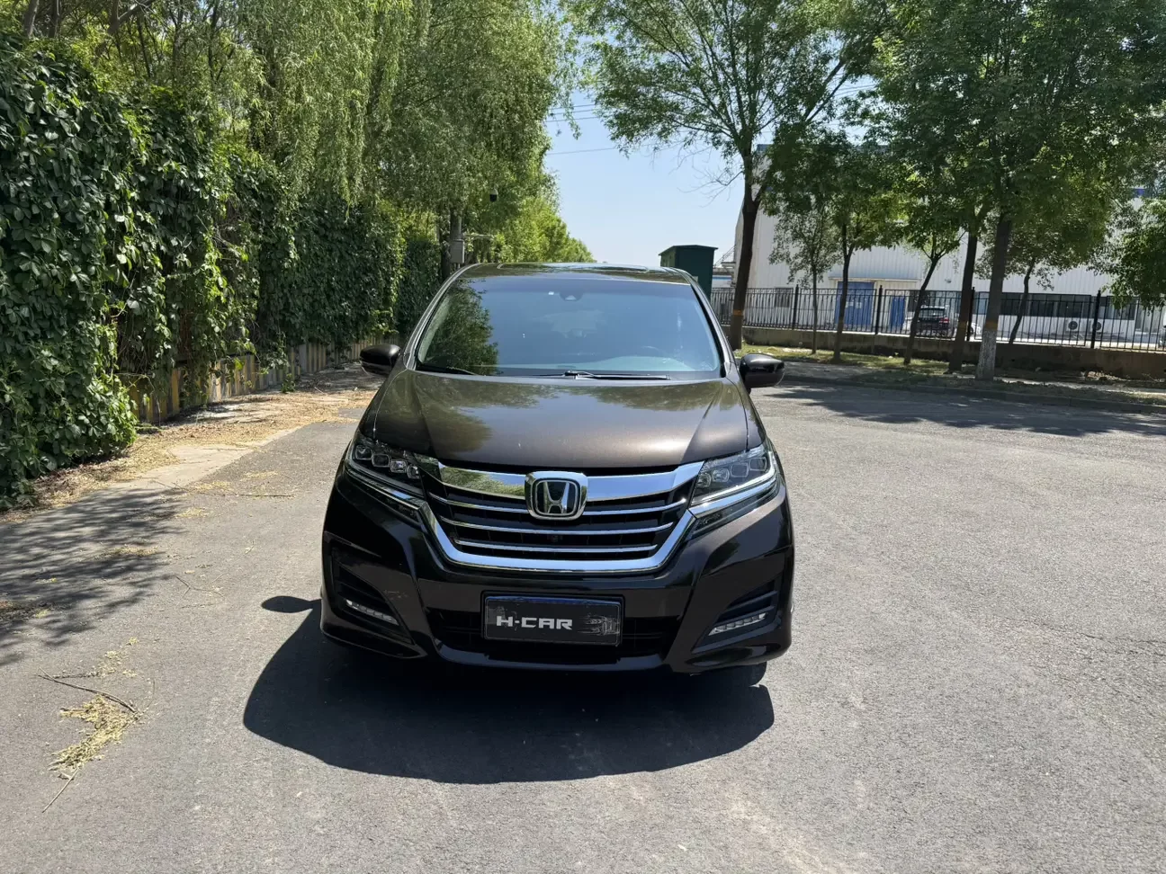 Honda Elysion