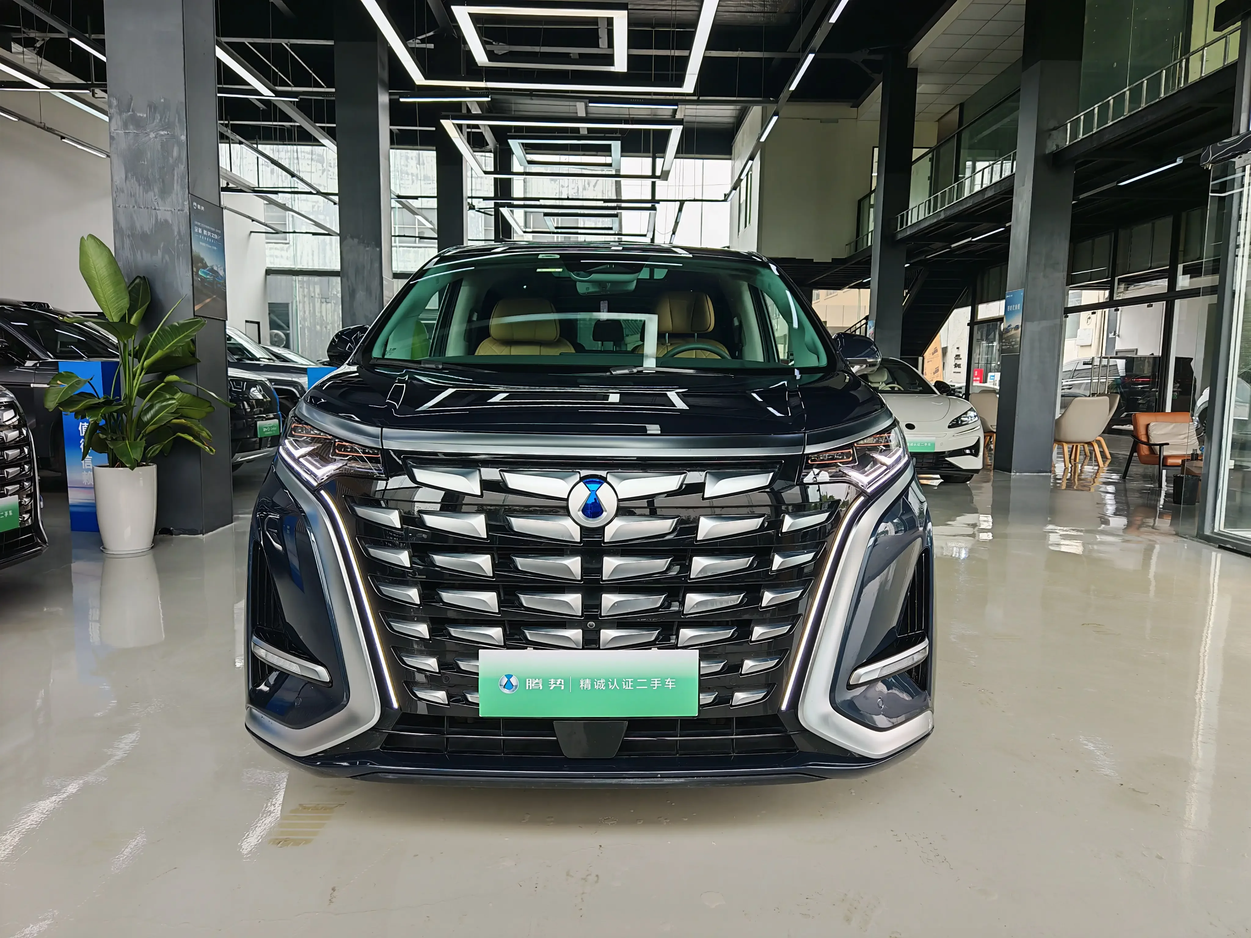 Denza D9 DM