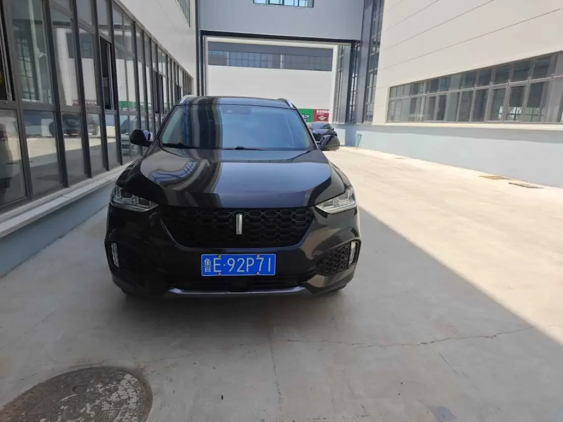 Wey Wei brand VV6