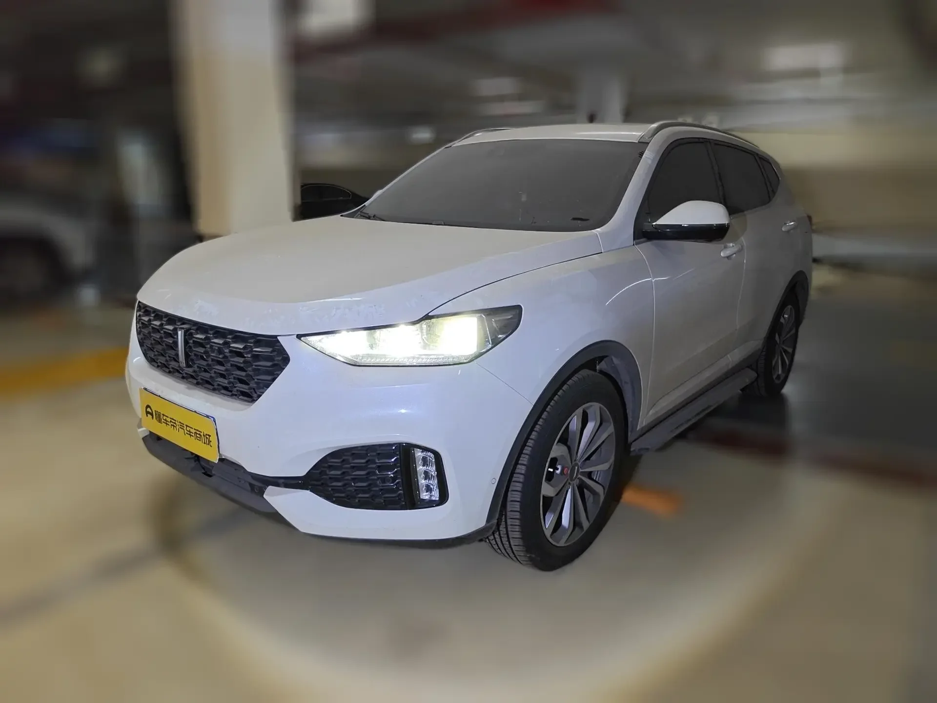 Wey Wei brand VV6