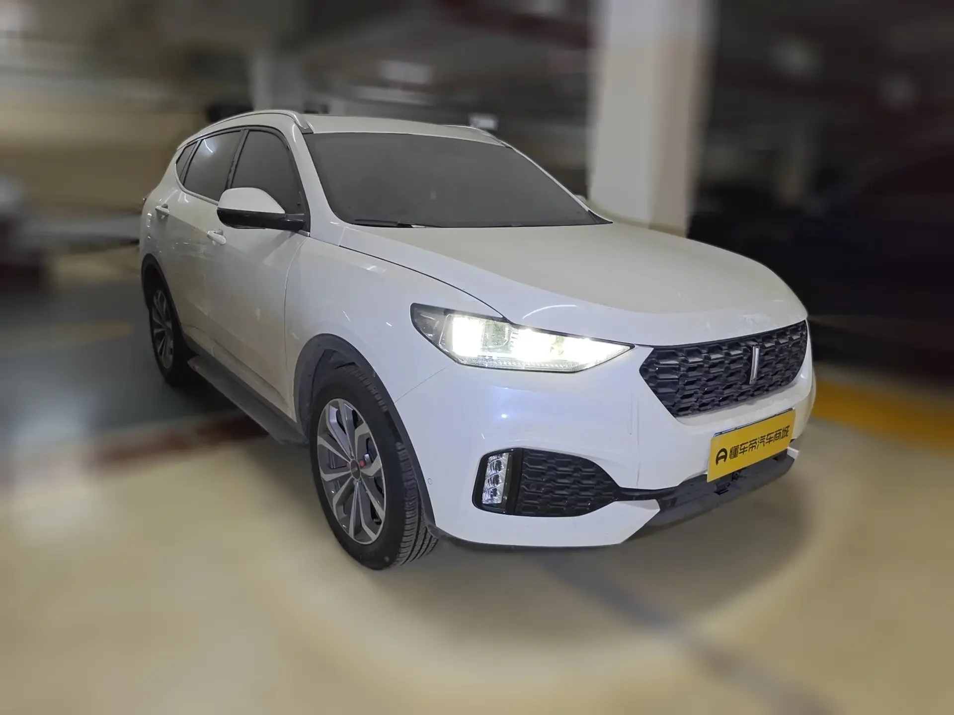 Wey Wei brand VV6