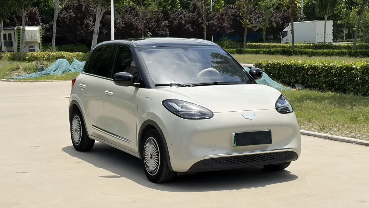 Wuling Bingo