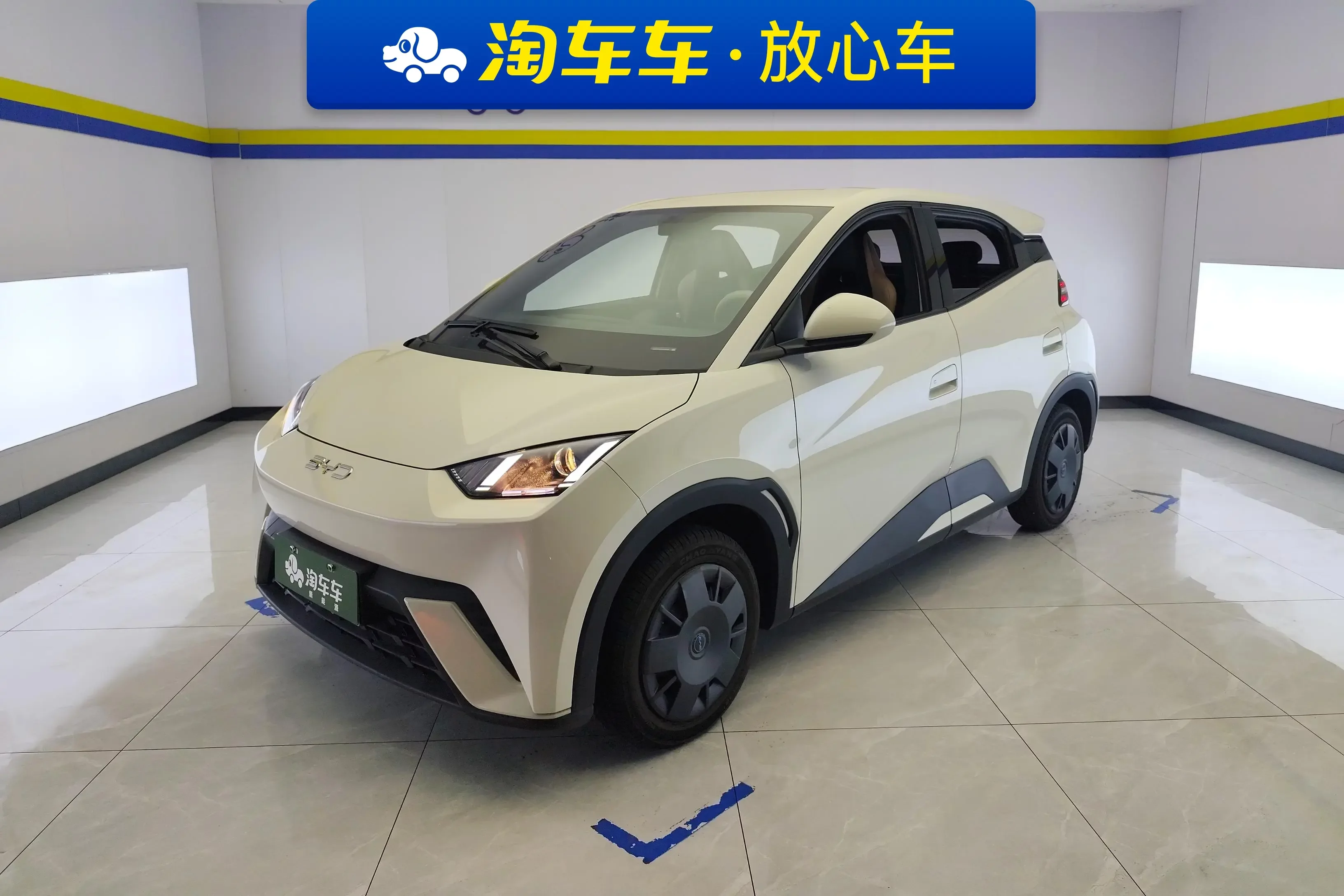 BYD seagull