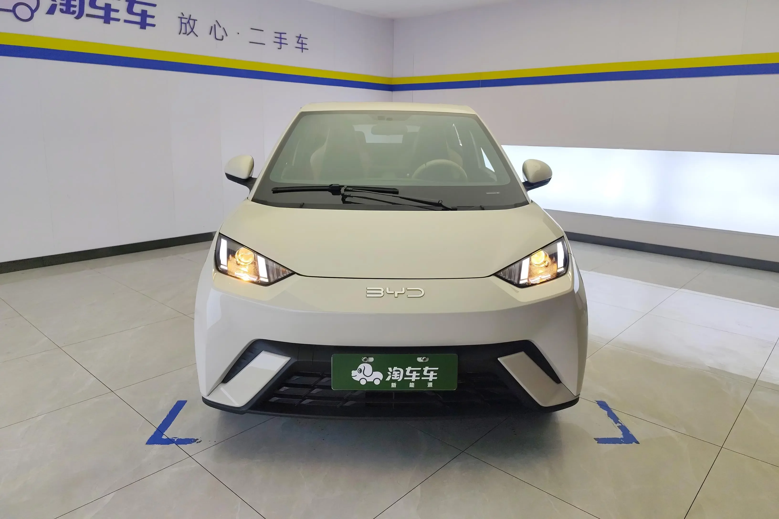 BYD seagull
