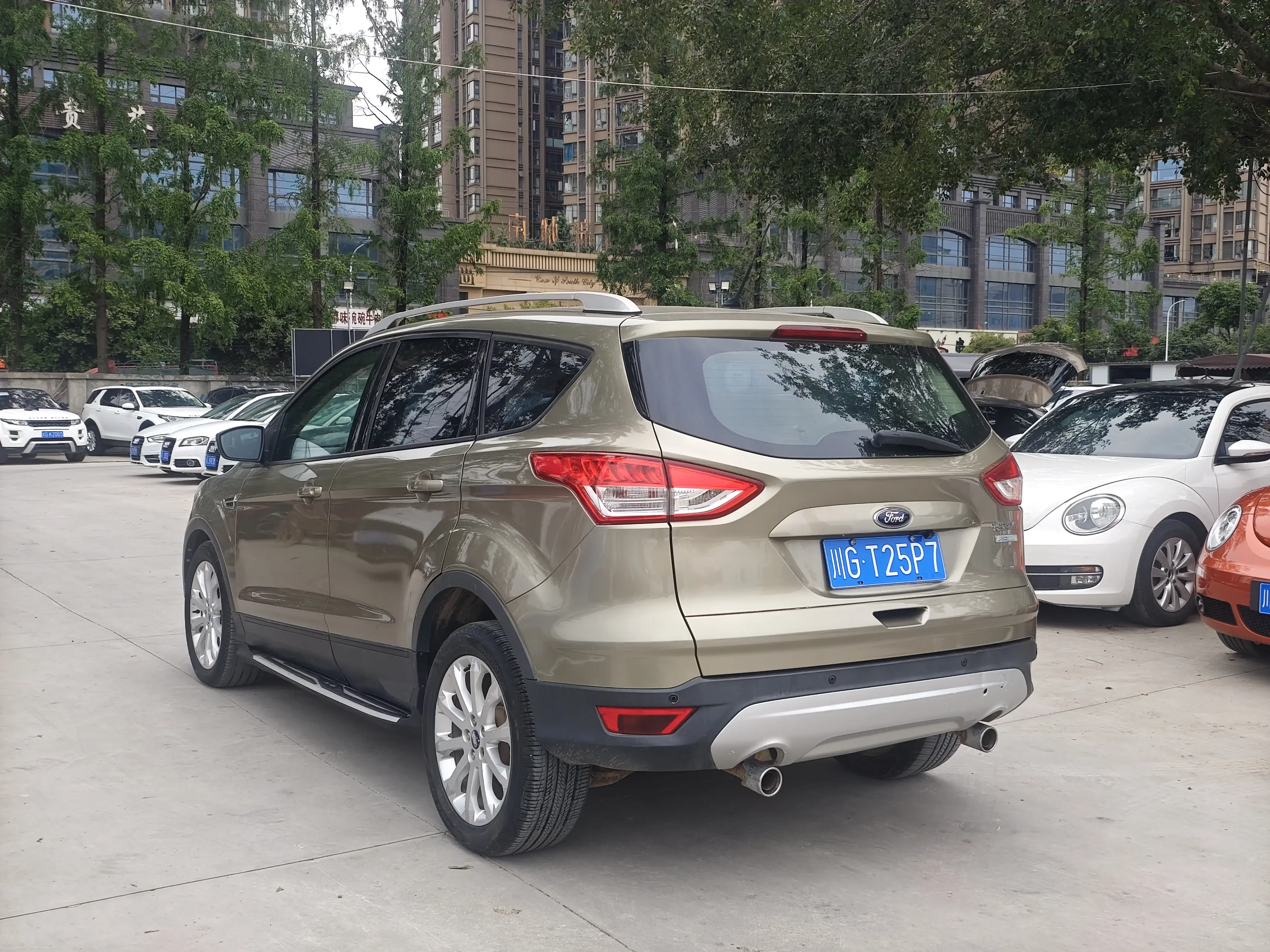 Ford wing tiger