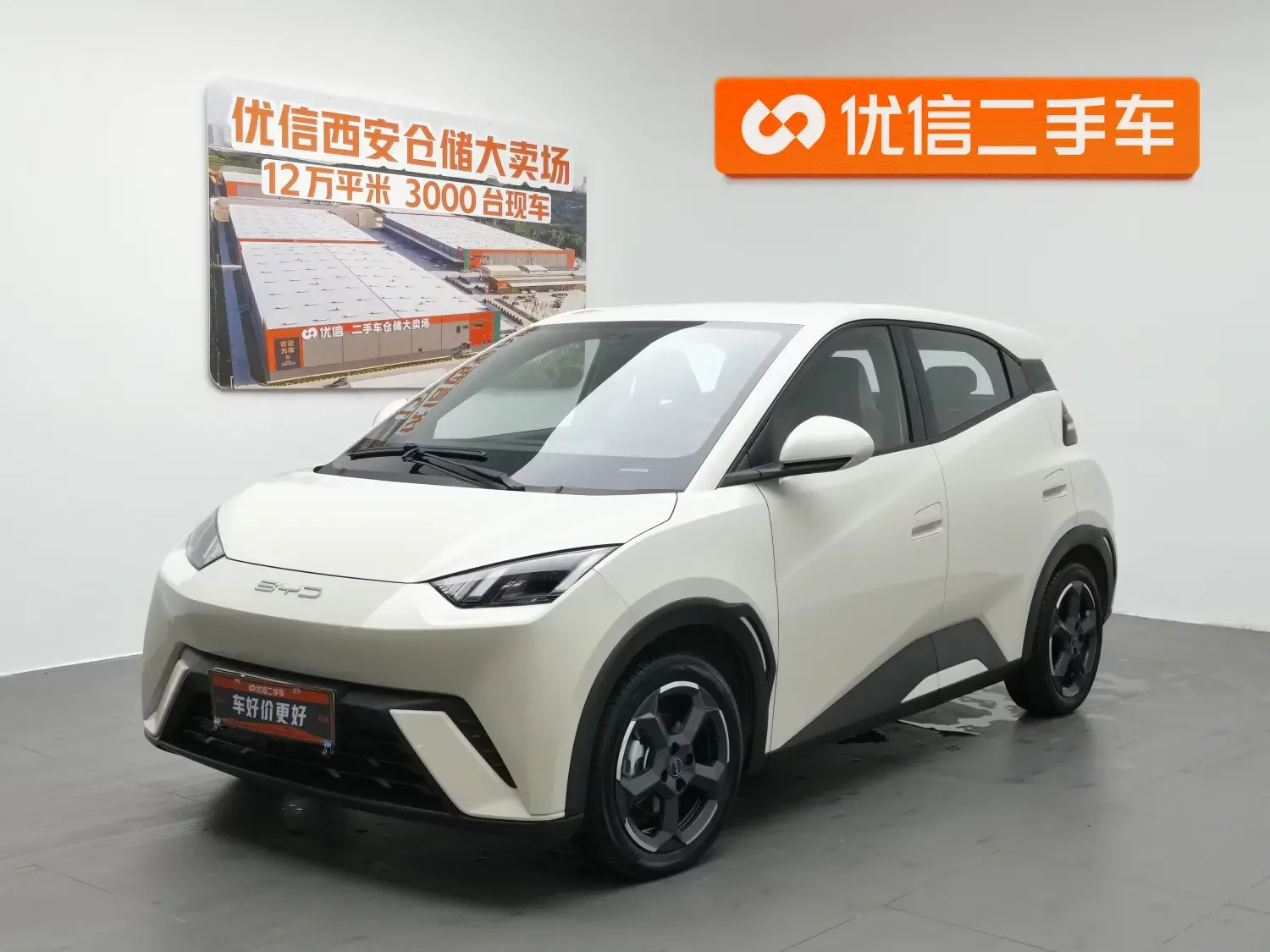BYD seagull