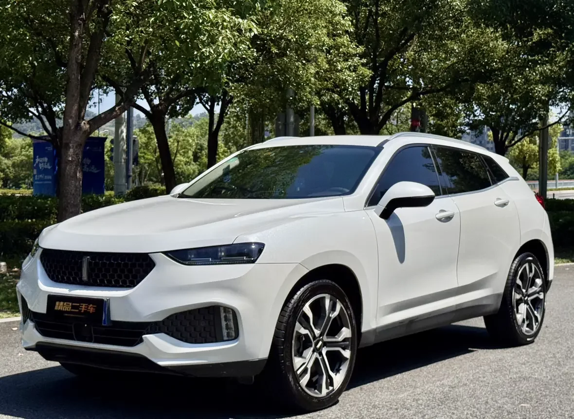 Wey Wei brand VV7