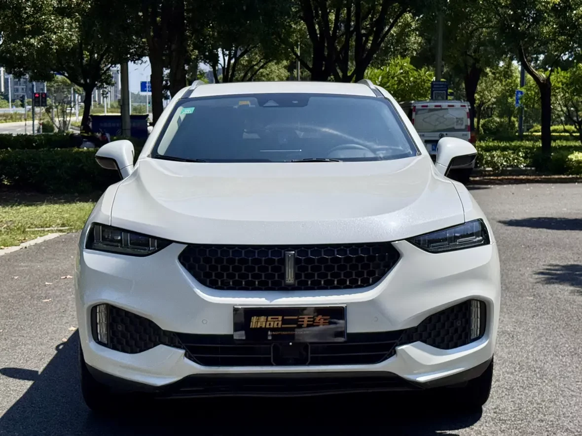 Wey Wei brand VV7