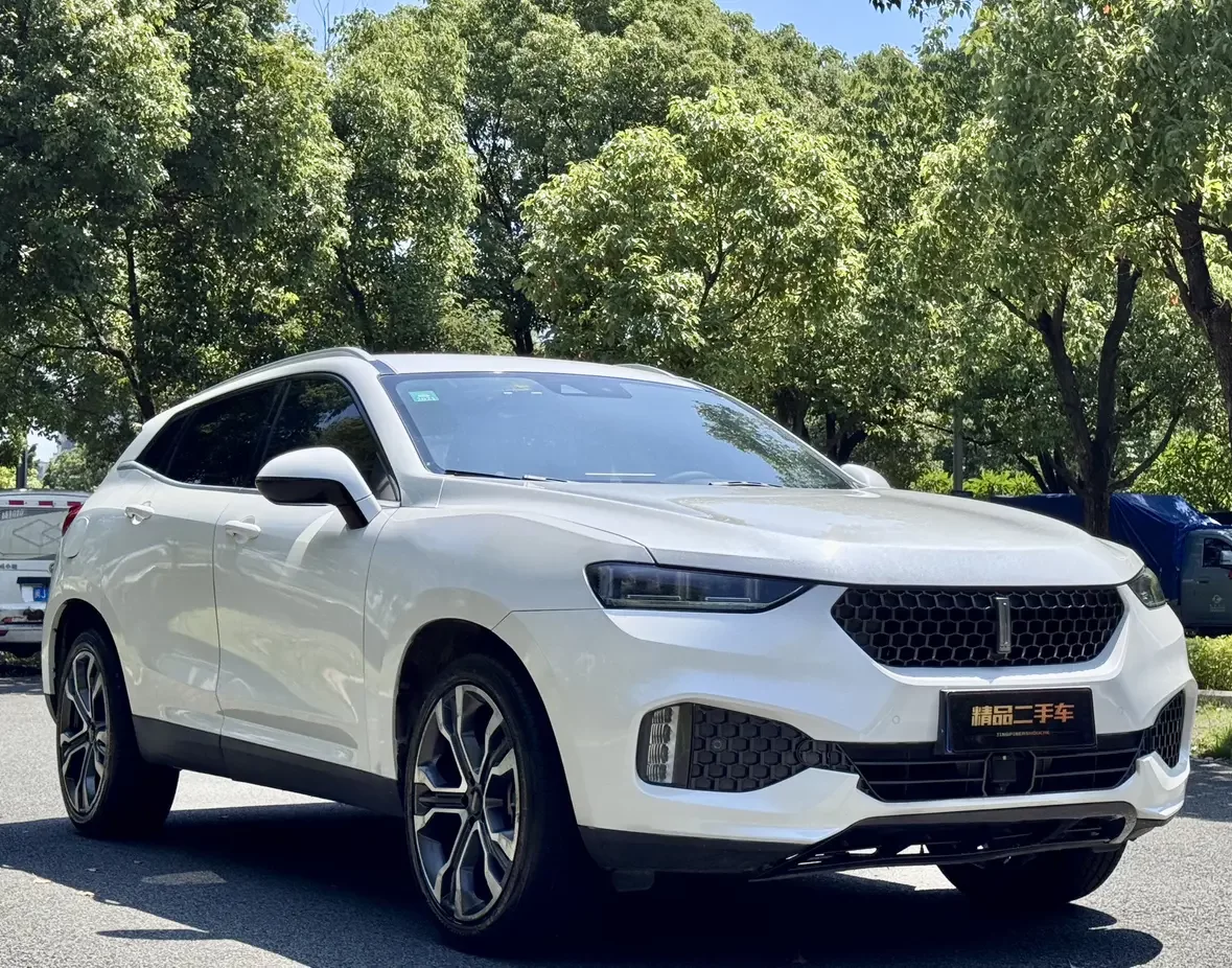 Wey Wei brand VV7