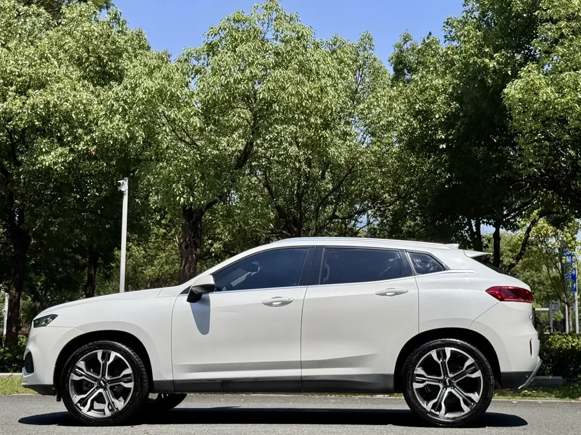 Wey Wei brand VV7