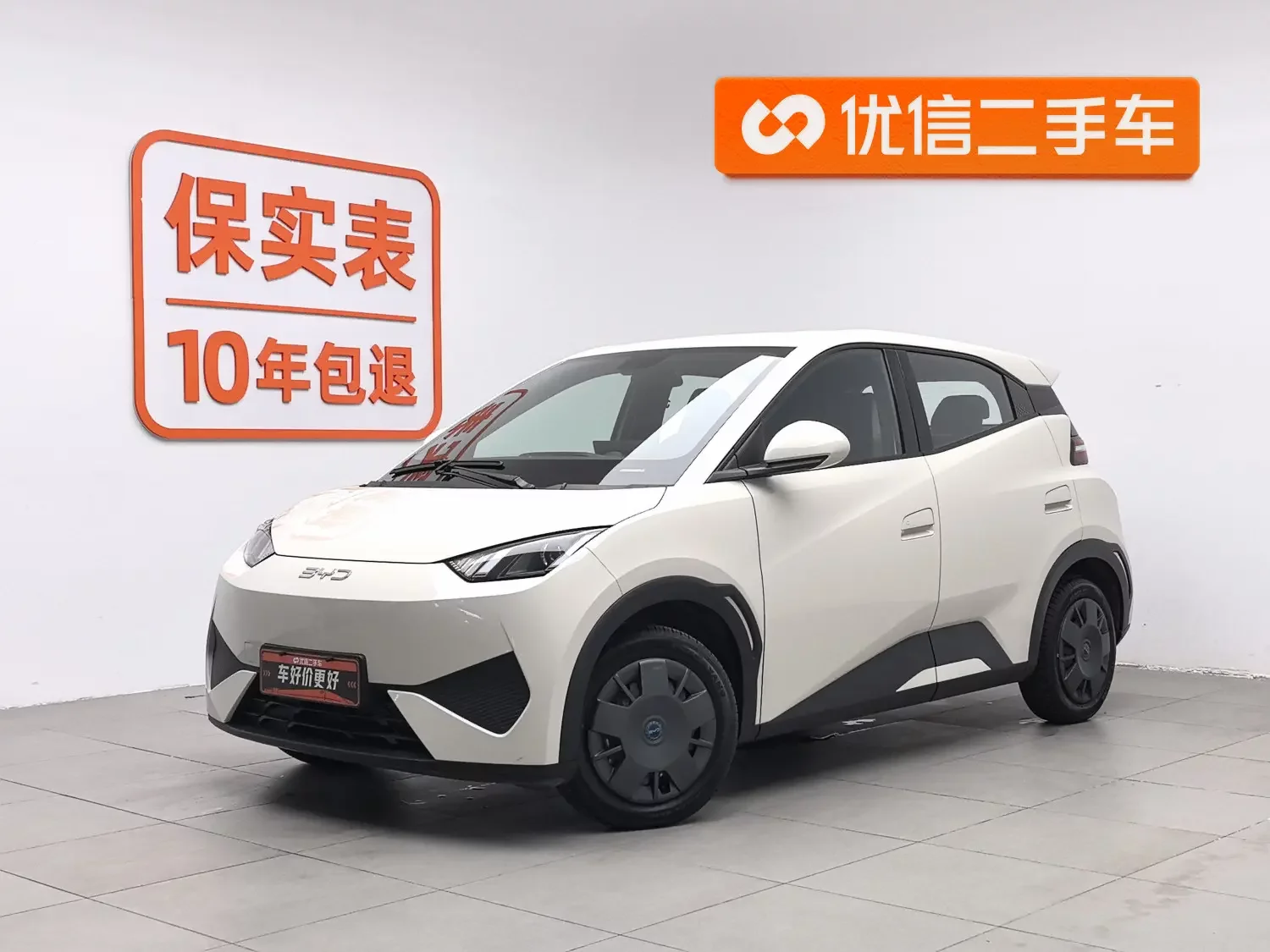 BYD seagull