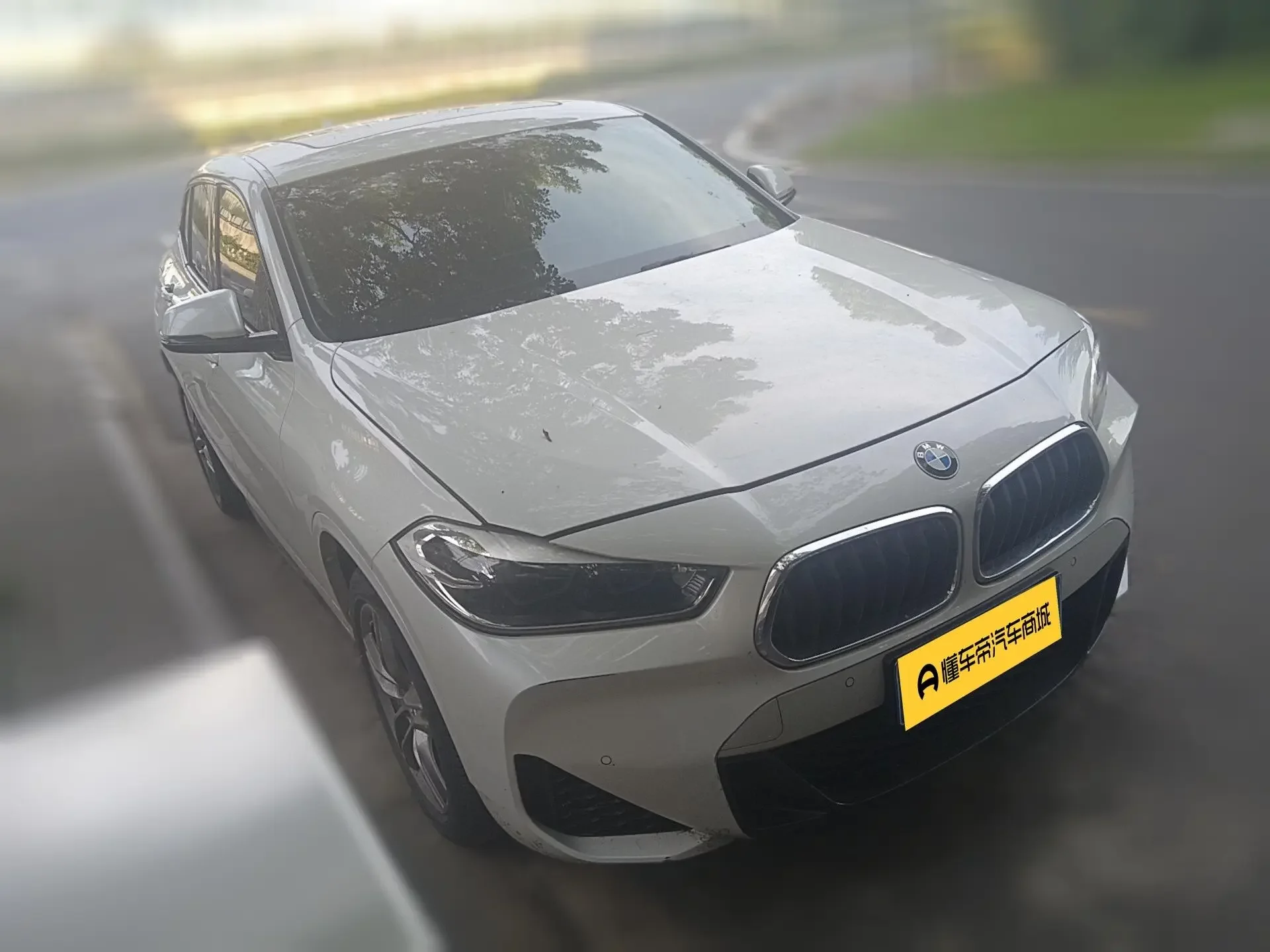 BMW X2