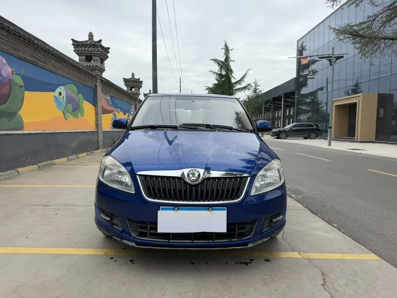 Skoda Jing Rui