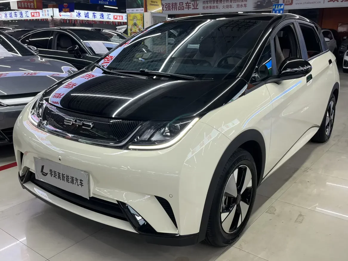 BYD dolphin