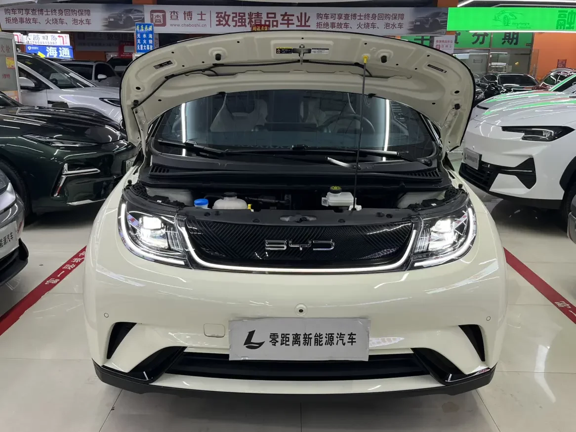 BYD dolphin
