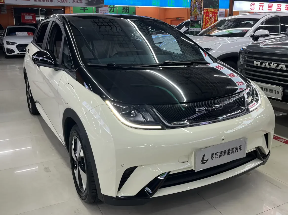 BYD dolphin
