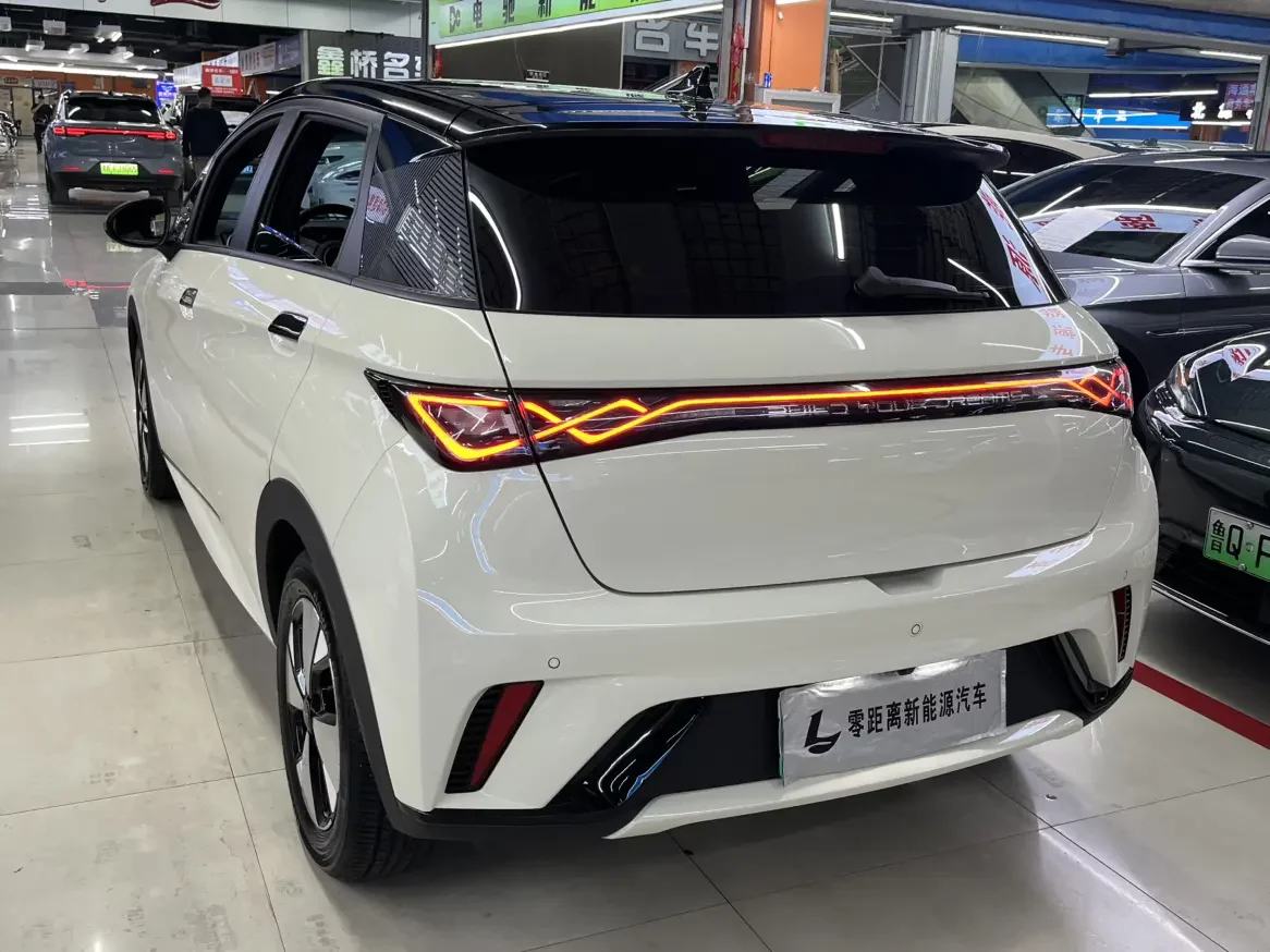 BYD dolphin