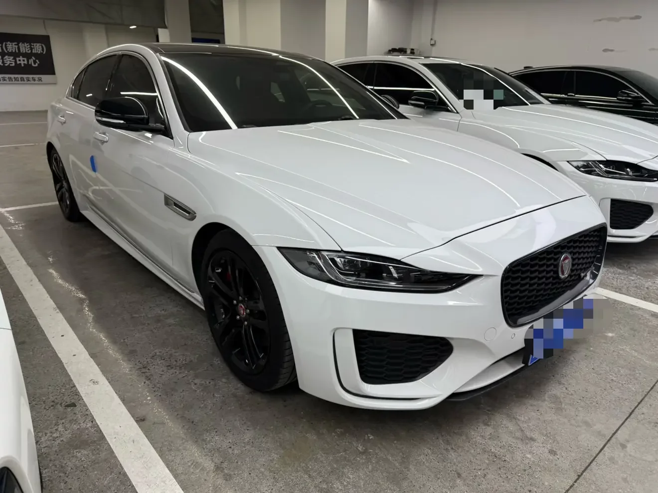 Jaguar XEL