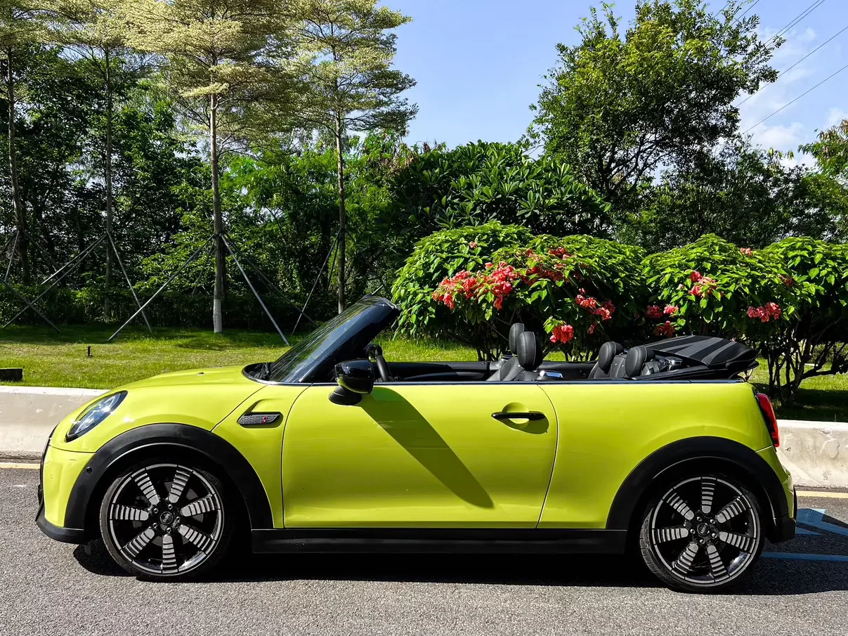 MINI 