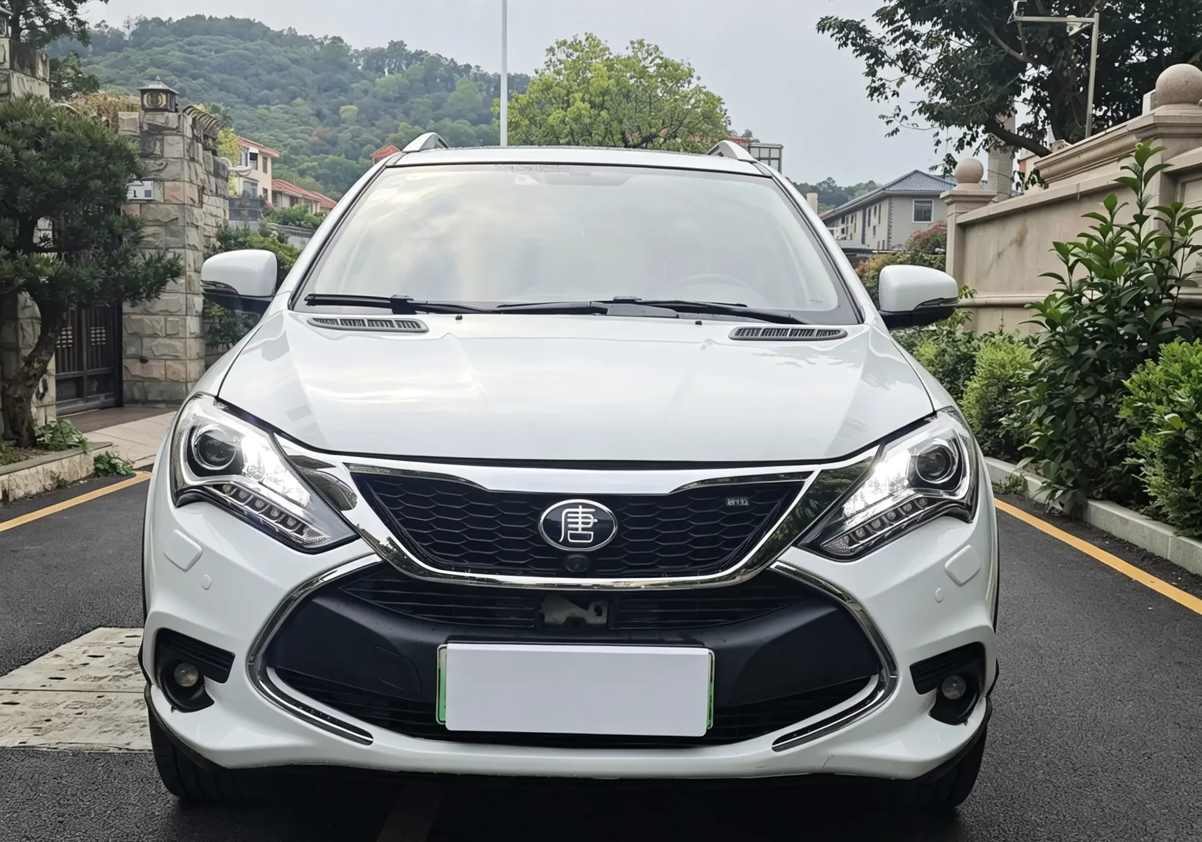 BYD Tang DM