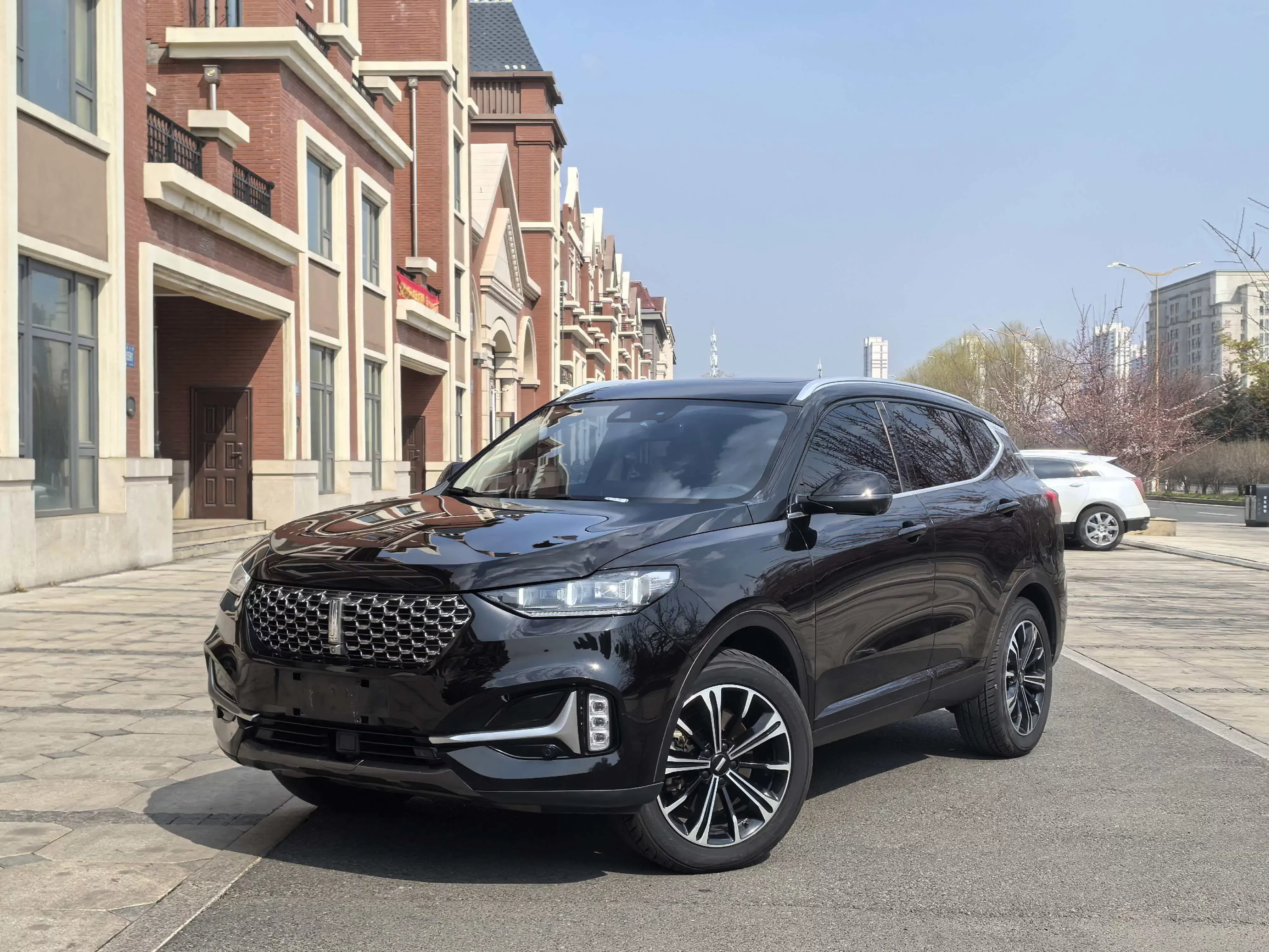 Wey Wei brand VV6