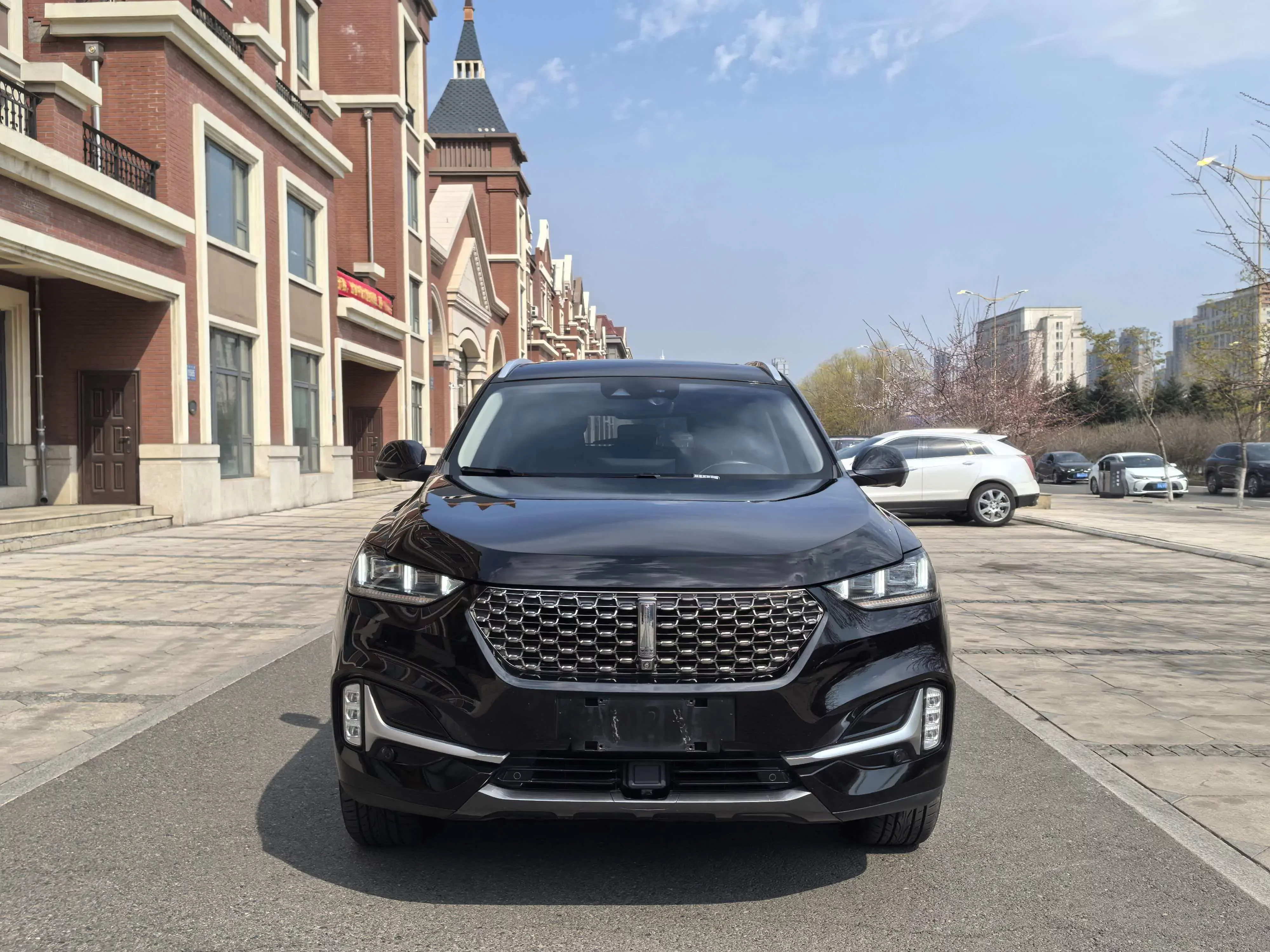 Wey Wei brand VV6