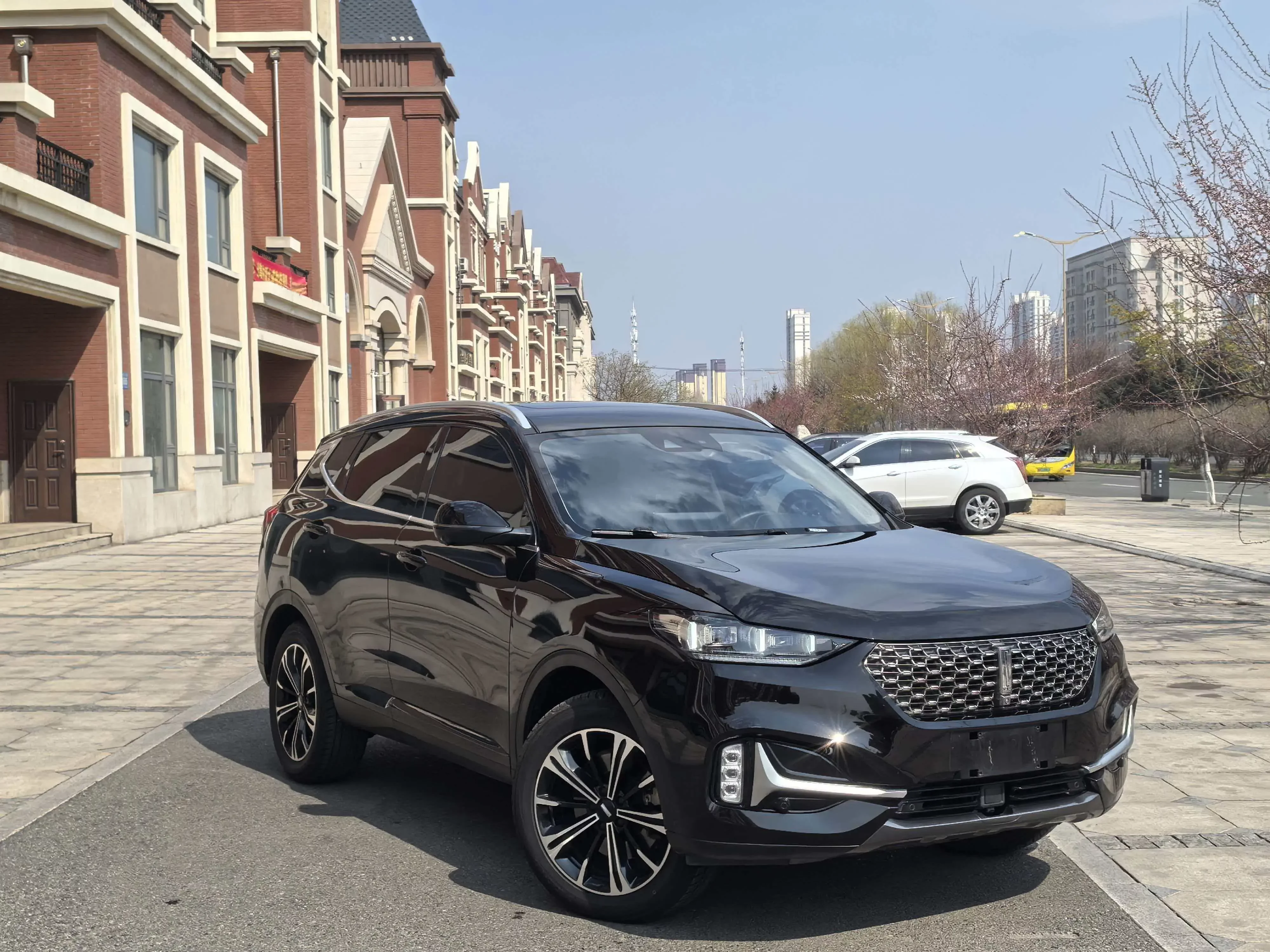 Wey Wei brand VV6