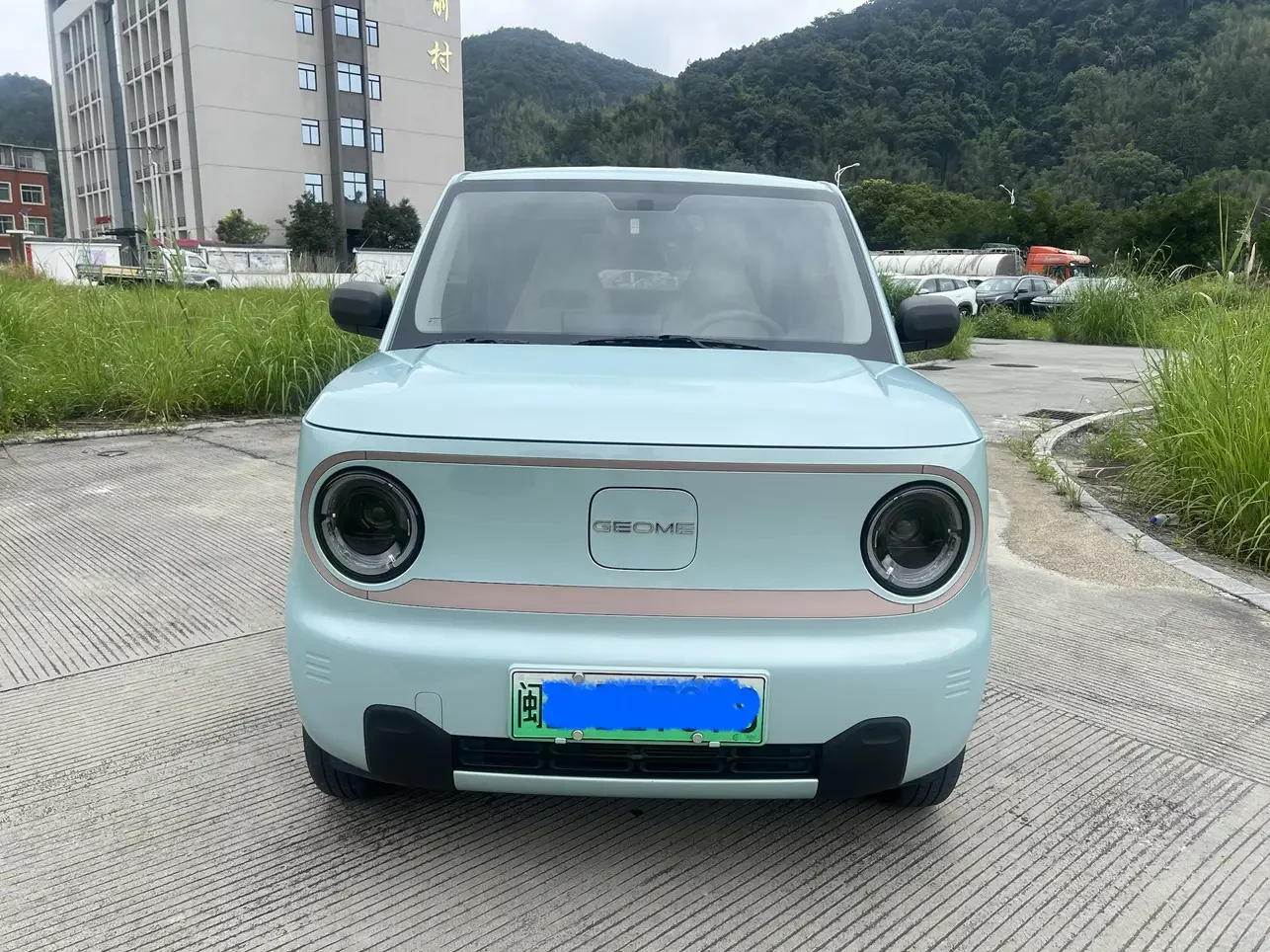 Geely panda